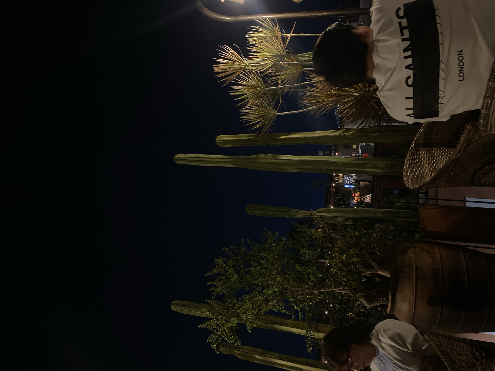 The scene is a nighttime outdoor setting in Oaxaca City, Mexico. The image captures two people seated at a table. One person, seen from the back, wears a white t-shirt with the text "ALL SAINTS LONDON." A second person is partially visible at the bottom of the frame.
The scene is decorated with tall cacti, potted trees, and decorative palm-like plants. The foliage is illuminated by artificial lighting. In the background, there's a glimpse of other buildings and lights that suggest an urban area. Wicker chairs are also visible.