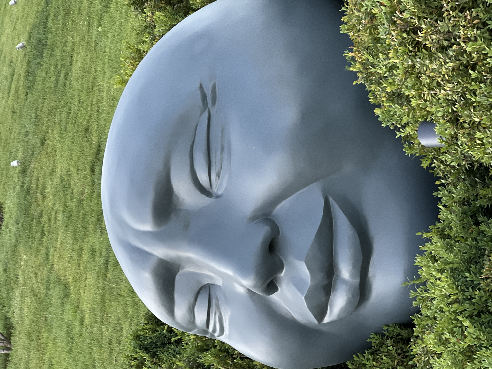 A close-up, eye-level shot features a large, grey, sculpted face lying on its side amongst green grass and bushes. The face is resting on its left side, with its closed eyes facing upward. The nose is prominent and the lips are slightly parted. Green bushes partially obscure the right side of the face. In the background, short green grass extends to the left. Small, round objects are sparsely scattered on the grass.
While this sculpture might appear similar to the "Sleeping" sculpture in Krasnodar, Russia, I don't have enough information to verify it is indeed that specific artwork and location, as the background and context are limited in this single image.