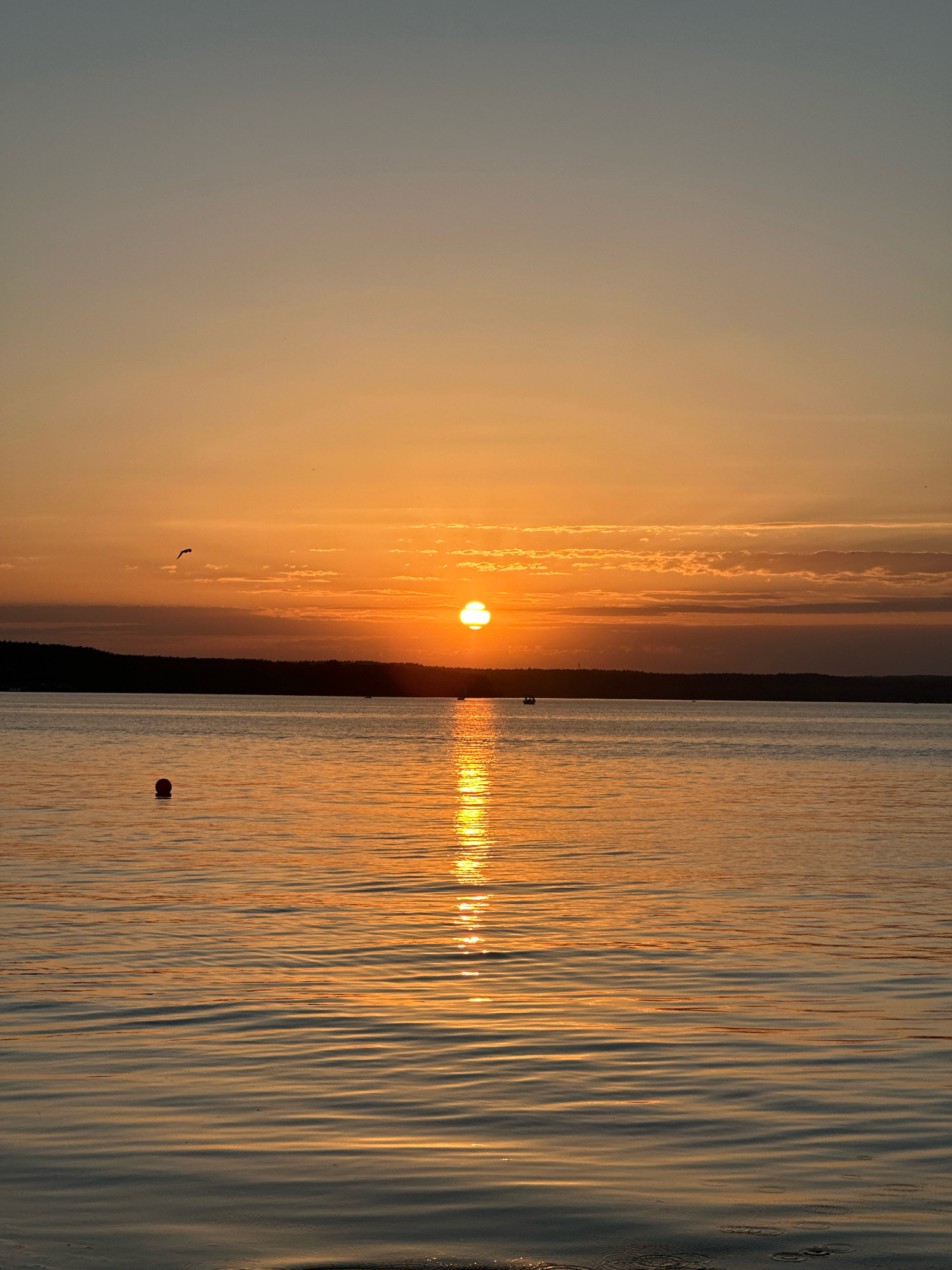 The image depicts a tranquil sunset over a body of water, likely a lake or river, within the Ждановіцкі сельскі Савет, Belarus. The sky transitions from a pale blue at the top to a warm orange hue near the horizon, illuminated by the setting sun which is partially obscured by clouds. A thin, dark line of trees or a shoreline runs horizontally across the middle of the image, separating the sky from the water. The water's surface is calm, with gentle ripples reflecting the orange and gold tones of the sunset, creating a shimmering effect.
In the foreground, a single red buoy floats on the water. In the middle distance, several small boats are visible on the water, suggesting recreational activity. A solitary bird is captured in flight in the upper left portion of the sky. The overall atmosphere is peaceful and serene, characteristic of a quiet evening in a natural landscape.