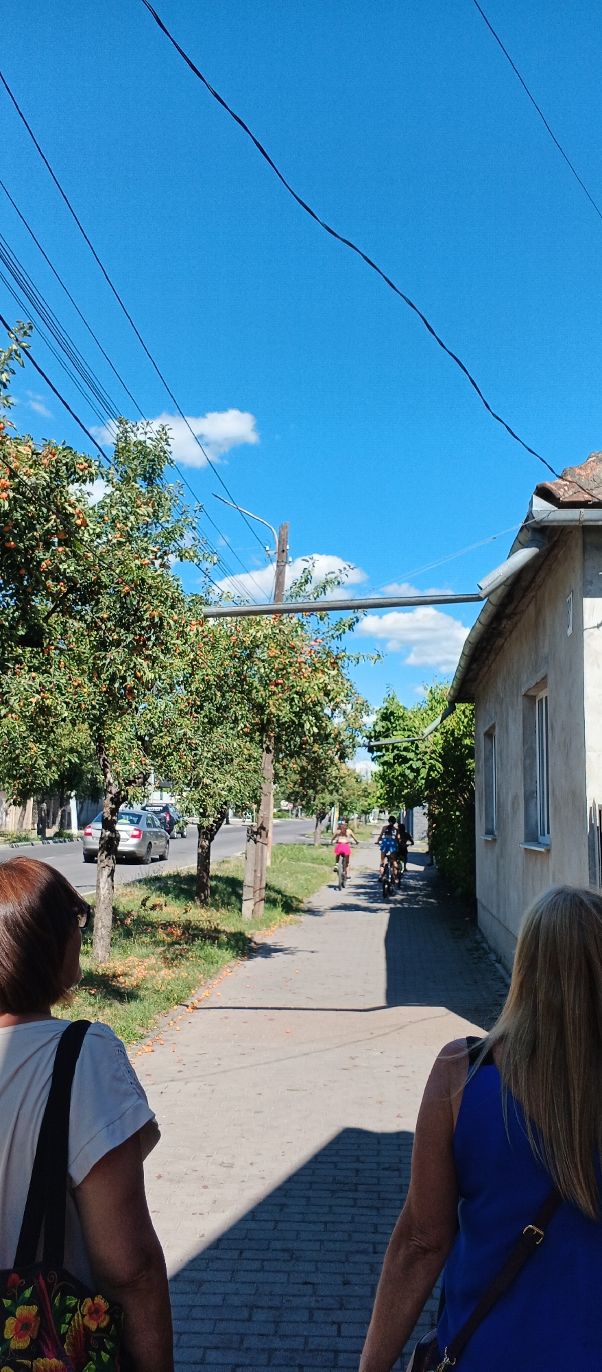 The image depicts a sunny day scene on a street in Mukachevo, Ukraine. In the foreground, two women are walking away from the camera on a paved sidewalk. The woman on the left has brown hair and is wearing a light-colored shirt and carrying a patterned tote bag. The woman on the right has blonde hair and is wearing a blue dress.
The sidewalk runs alongside a tree-lined street. The trees on the left appear to be fruit trees, possibly apple or plum, with many small, orange fruits visible. Beyond the trees, cars are driving on the street.
Further down the sidewalk, a group of children on bicycles are riding away from the camera. One child in the lead is wearing a pink top and shorts. The sidewalk is bordered by a grassy area where more fallen fruit is scattered.
To the right of the sidewalk is a building with a concrete exterior and a tiled roof. Power lines are visible crisscrossing the bright blue sky, which has a few scattered white clouds. The overall impression is a casual, summery outdoor scene in a residential or suburban area.