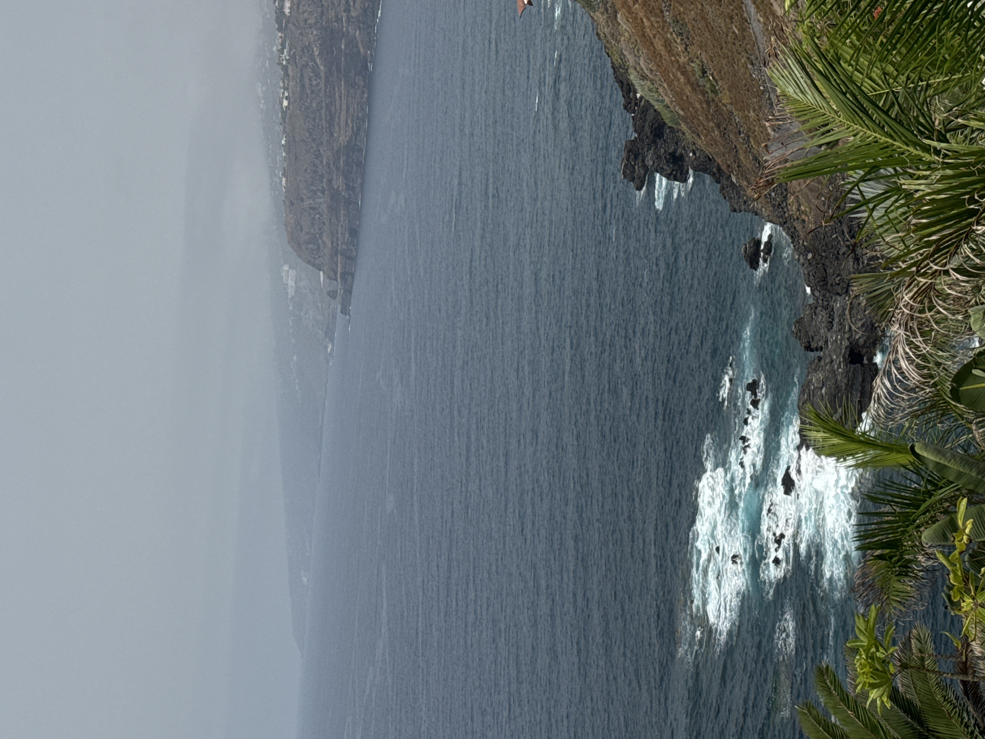 This is a vertical, eye-level, medium shot of a rugged coastline with dark blue ocean water and a cloudy sky. The ocean is choppy with white waves crashing against dark rocks along the shore. In the foreground, lush green palm fronds obscure the bottom of the image. In the background, a distant, hazy coastline is visible with some buildings clustered along the cliffs. The overall mood is moody and atmospheric, due to the overcast sky and the dramatic landscape.