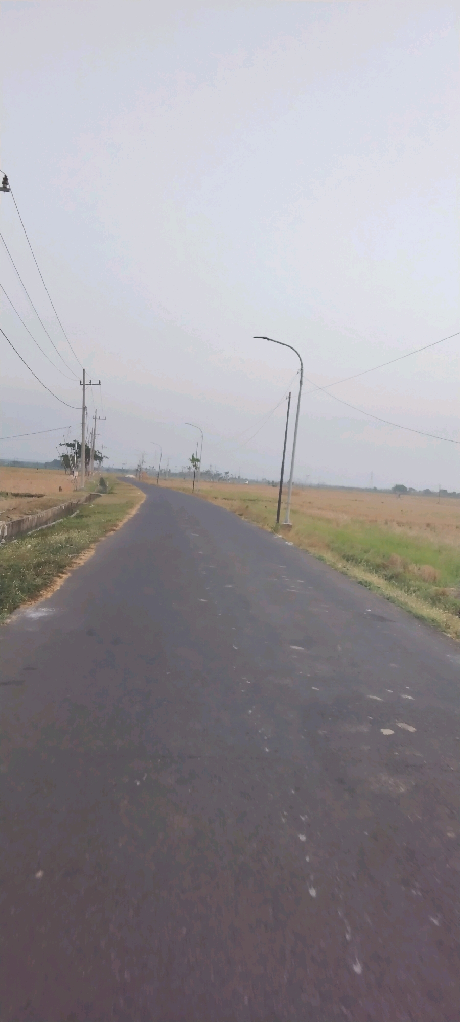 A vertical, medium-shot, eye-level, outdoor, daytime, slightly overcast, low-angle, candid shot depicts an empty, asphalt road curving into the distance in the city of Ngujo, Indonesia. The road is dark gray, with some lighter patches and small debris scattered on its surface. On the left side of the road, a concrete ditch is visible, bordered by dry grass and some smaller green vegetation. Further left, a row of utility poles with many wires stretches into the distance, some appearing somewhat old and weathered.
On the right side of the road, several modern, tall streetlights are spaced out along its edge. The one closest to the foreground has a slender, light-colored pole and a dark, curved arm holding a light fixture. Further down the road, more of these streetlights can be seen, along with a few small trees and bushes.
Beyond the road and the vegetation, the landscape consists of flat fields, predominantly yellow and dry, suggesting agricultural land, possibly rice paddies. The sky is a uniform, pale gray, indicating an overcast or hazy day. In the far distance, the horizon is flat, with faint shapes of what might be buildings or trees barely visible. There are no people or vehicles in the frame, emphasizing the emptiness of the scene. The overall impression is one of a rural or semi-developed area on the outskirts of a town or city.