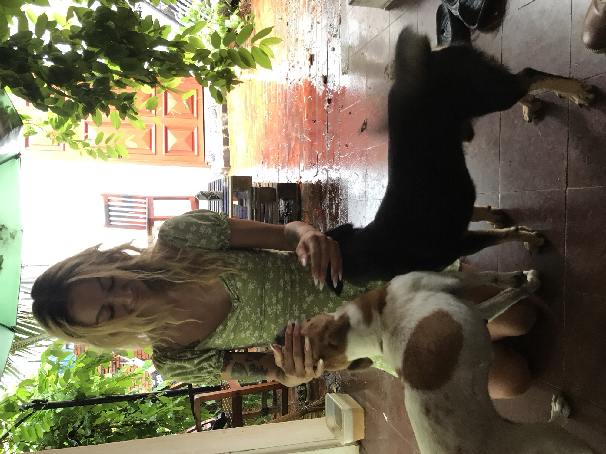 On a tiled patio in Mũi Né, Vietnam, a woman with blonde hair and a green floral dress sits and pets two dogs. One dog is mostly black, while the other is white and brown. Lush greenery surrounds the patio. A red door is visible in the background.