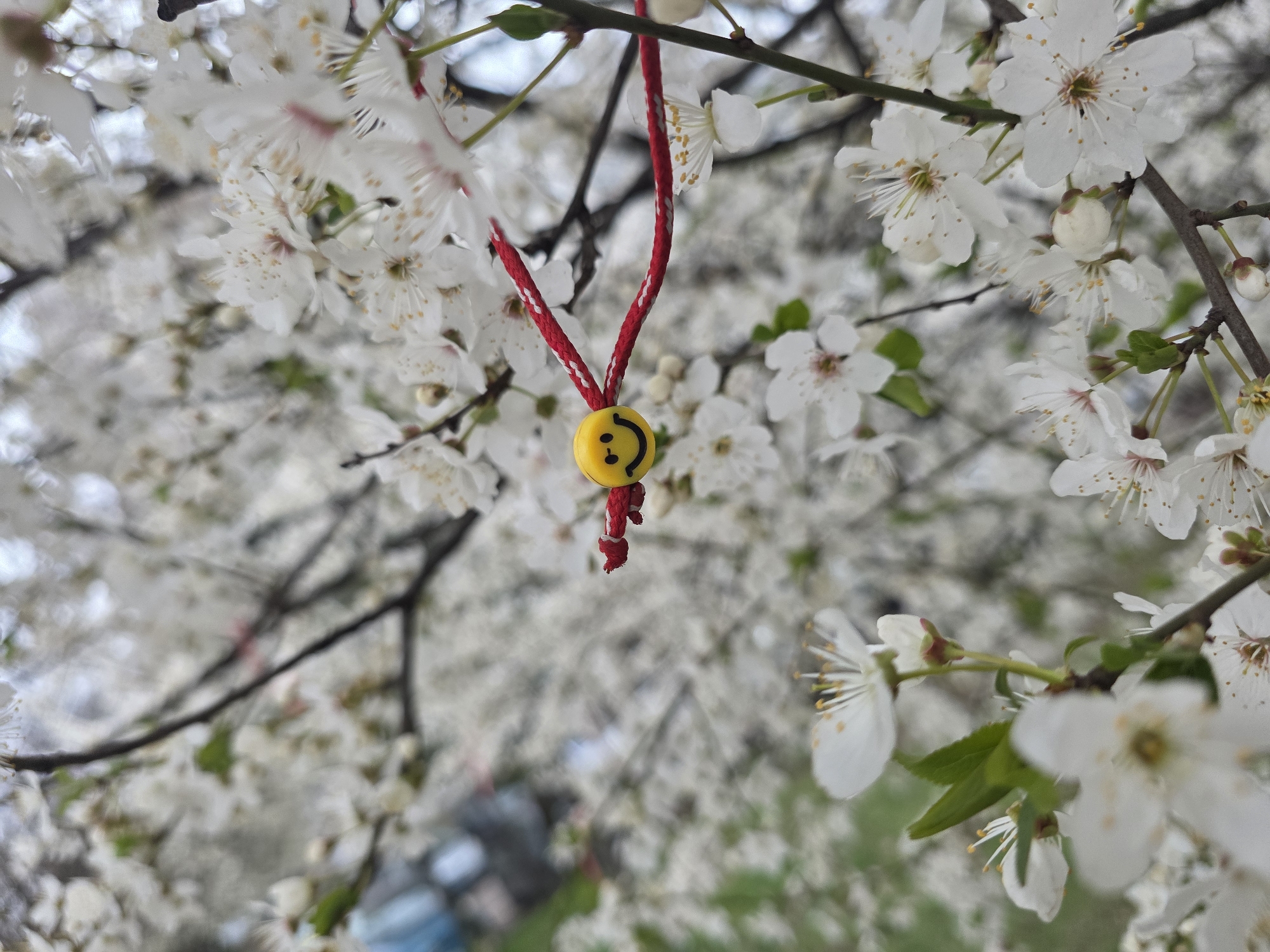 The image depicts a small yellow smiley face charm hanging from a red and white string, suspended from a blossoming tree branch. The background is filled with numerous white flowers, suggesting a spring setting. The location is likely in Sofia, Bulgaria, given the presence of traditional "Martenitsa" (the red and white string) which is commonly associated with Bulgarian traditions celebrating the arrival of spring. The focus is on the charm, with the blossoms serving as a soft, out-of-focus backdrop. There are no people immediately visible, though there is a blurry shape with blue under it in the background which could be human figures.
