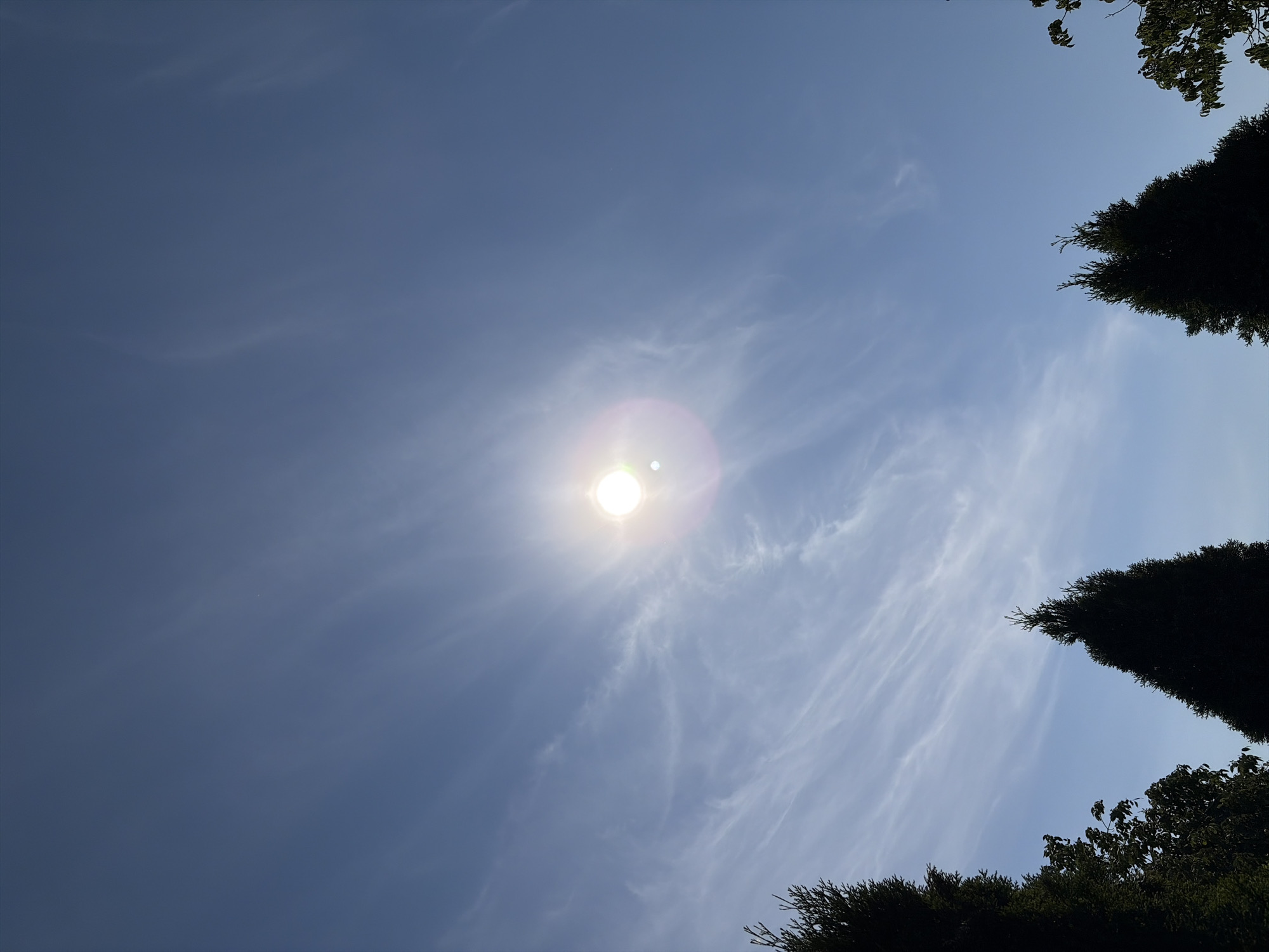The image shows a clear blue sky with wispy clouds and the sun shining brightly, causing a lens flare. Silhouetted evergreen trees are visible in the foreground on the left and right sides of the frame, framing the sky. The trees suggest an outdoor natural setting. There are no people or identifiable landmarks in the image to confirm a specific location within Oxentea, Moldova. The scene is static and depicts a daytime sky with vegetation.