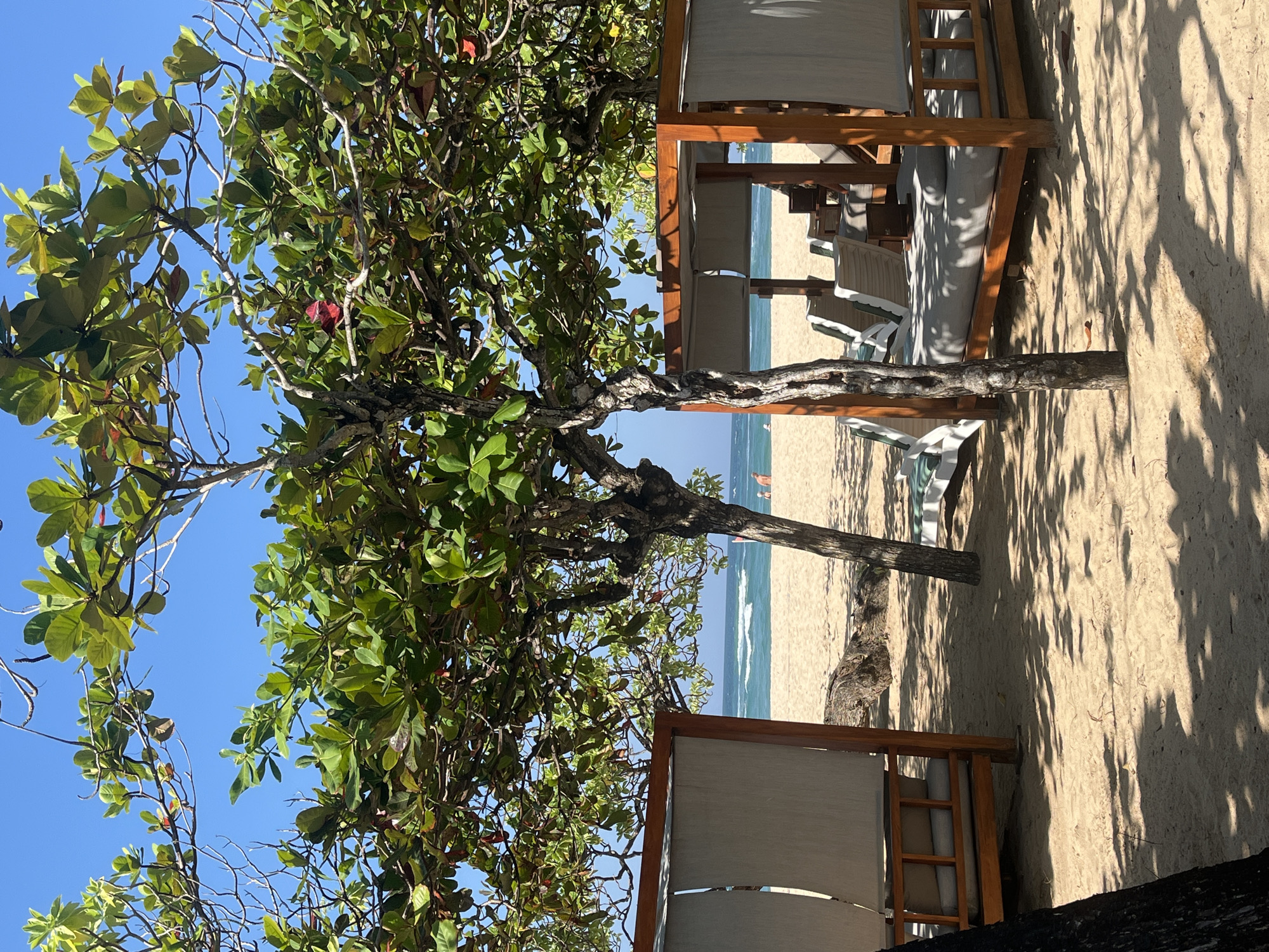 This image captures a serene beach scene in Kuta Selatan, Indonesia, under a clear blue sky. In the foreground, two wooden cabanas with canvas coverings provide shaded seating areas on the sandy beach. The cabana on the right is equipped with multiple lounge chairs, some covered with grey cushions and pillows. The cabana on the left is partially visible, also featuring similar seating.
In the middle ground, the sandy beach stretches towards the ocean, where gentle waves create white foam as they meet the shore. The ocean water is a vibrant turquoise, and the horizon is clear. Two individuals can be seen in the distance on the beach, appearing as small figures enjoying the seaside.
The scene is framed by the lush green foliage of trees, whose branches and leaves cast dappled shadows on the sand. The trees' trunks are visible, adding to the natural beauty of the environment. The overall impression is one of tranquility and relaxation, characteristic of a tropical beach resort.