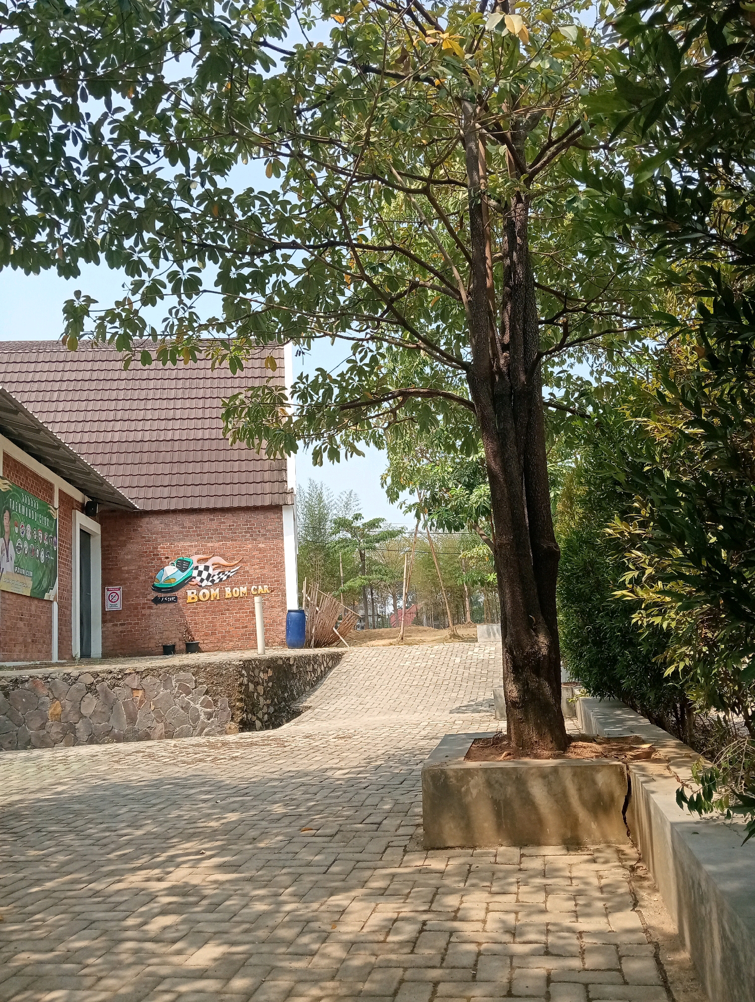 The image captures an outdoor scene with a paved walkway leading towards a brick building. A large tree with dense green foliage stands prominently in the foreground, its trunk split into two. The building, constructed from red brick, features a brown tiled roof and a white door. On the brick wall of the building, a sign displays a graphic of a car and the text "BOM BOM CAR" in yellow lettering, suggesting a place related to cars or a recreational facility. To the left of the sign is a green banner with text and images, partially visible. The walkway is made of interlocking beige pavers, and shadows from the trees are cast across it. A low stone wall borders the walkway on the left. In the background, there are more trees and vegetation, along with some bamboo structures and a blue plastic barrel. The sky above is clear and blue. The scene appears to be set in a well-maintained outdoor area, likely a tourist attraction or entertainment venue, in the city of Pringsewu, Indonesia. There are no people visible in the image.