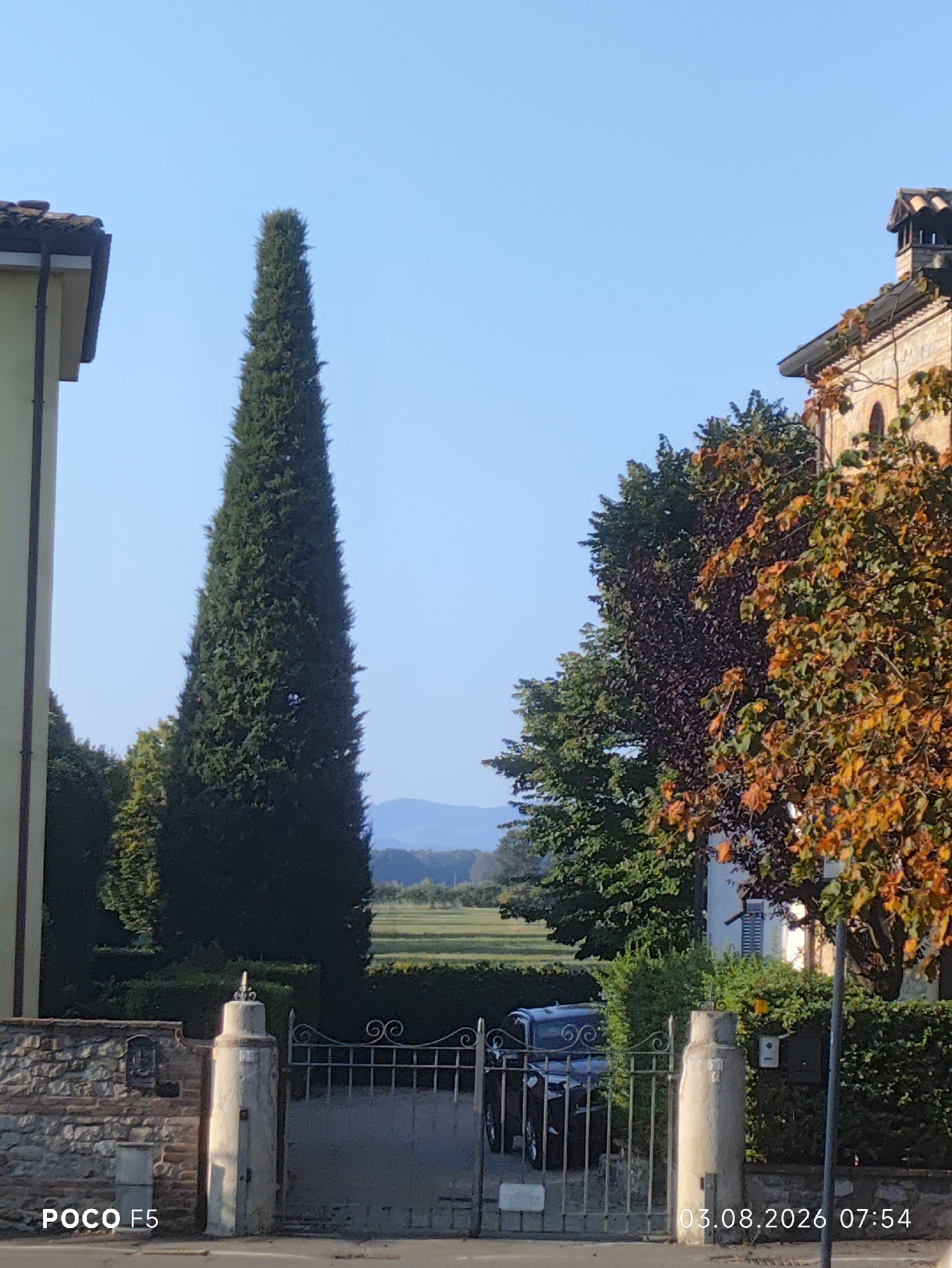 A tall, dark green cypress tree stands prominently in the center of the frame, reaching towards a clear blue sky. To its left, the corner of a light-colored building with a tiled roof is visible. To the right of the cypress, a building with a stone facade and a tiled roof is partially obscured by trees with autumn foliage, displaying shades of green, red, and orange. In the foreground, a stone wall borders a property with a decorative wrought-iron gate. Beyond the gate, a dark-colored car is parked. The background features rolling hills and a field under the bright sky. The timestamp "03.08.2026 07:54" and "POCO F5" are present in the bottom right and bottom left corners of the image, respectively. The scene is indicative of a residential area in Collechio, Italy, captured during the daytime.