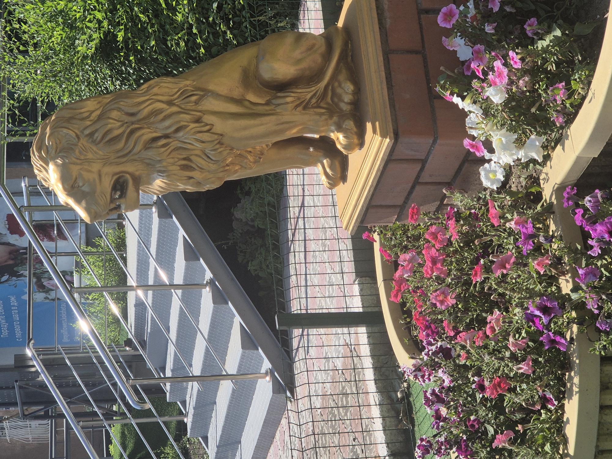 A golden lion statue sits on a brick pedestal in front of a lush green hedge. The statue faces to the left, with its mouth open and mane flowing. In the foreground, a planter overflows with colorful pink, purple, and white petunias. Behind the lion and to the left, a gray metal staircase with chrome railings leads upwards. A black metal fence separates the planter from the staircase and the paved area beyond. The scene is illuminated by bright sunlight, casting shadows. A sign is partially visible above the staircase with text that may be in Russian or Kazakh. The location is specified as Kokshetau, Kazakhstan.