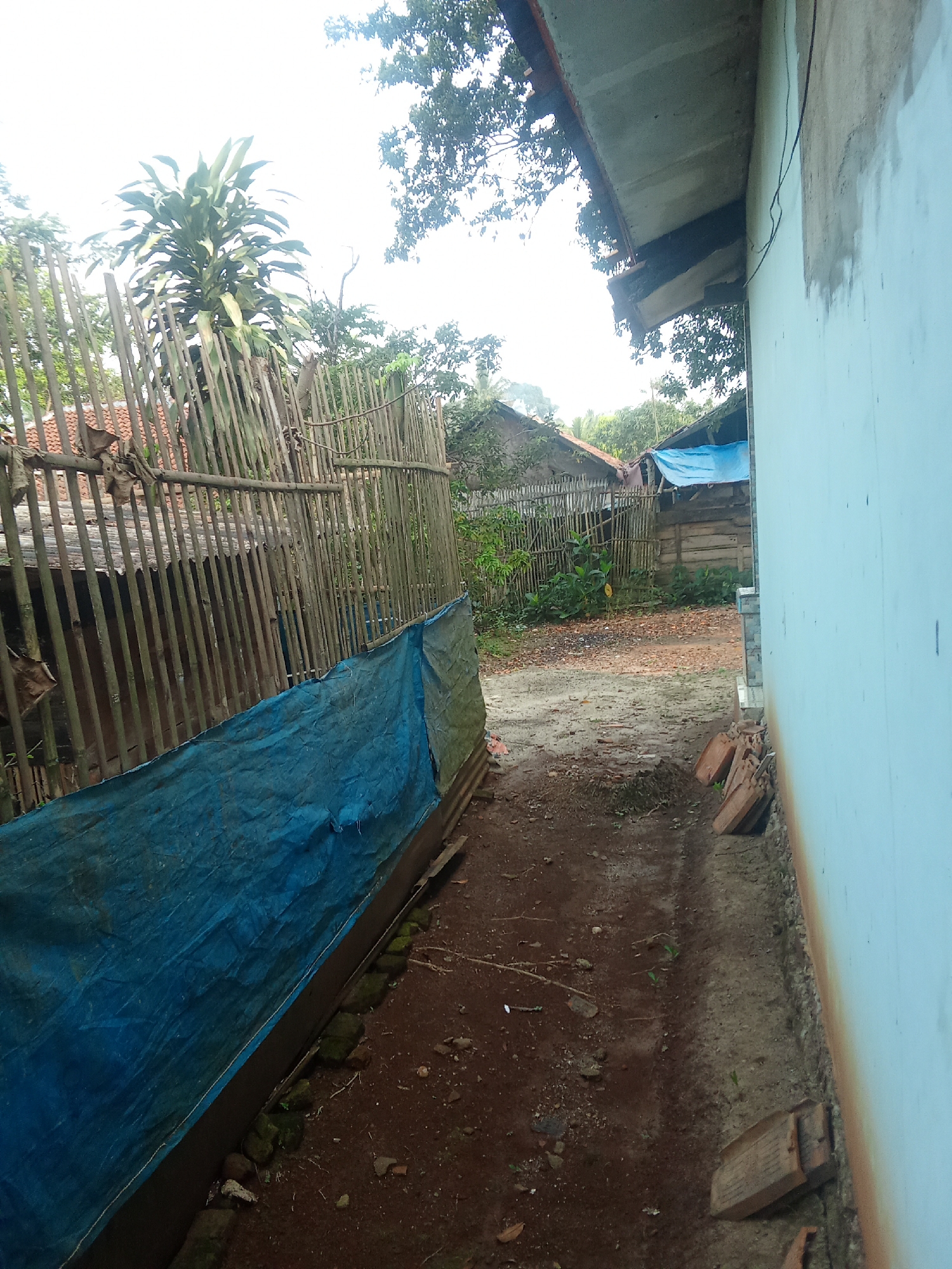 The image depicts a narrow, dirt pathway running alongside a light blue wall of a building. To the left of the path is a fence constructed from vertical bamboo poles. A section of the fence is covered by a crumpled blue tarp. Beyond the bamboo fence, there are glimpses of roofs and more vegetation. The ground is a mixture of dirt and debris, with a few scattered bricks near the blue wall. In the distance, more structures and trees are visible under an overcast sky. The scene suggests a rural or semi-urban setting in Cempaka, Indonesia, likely an outdoor area adjacent to a residential property.