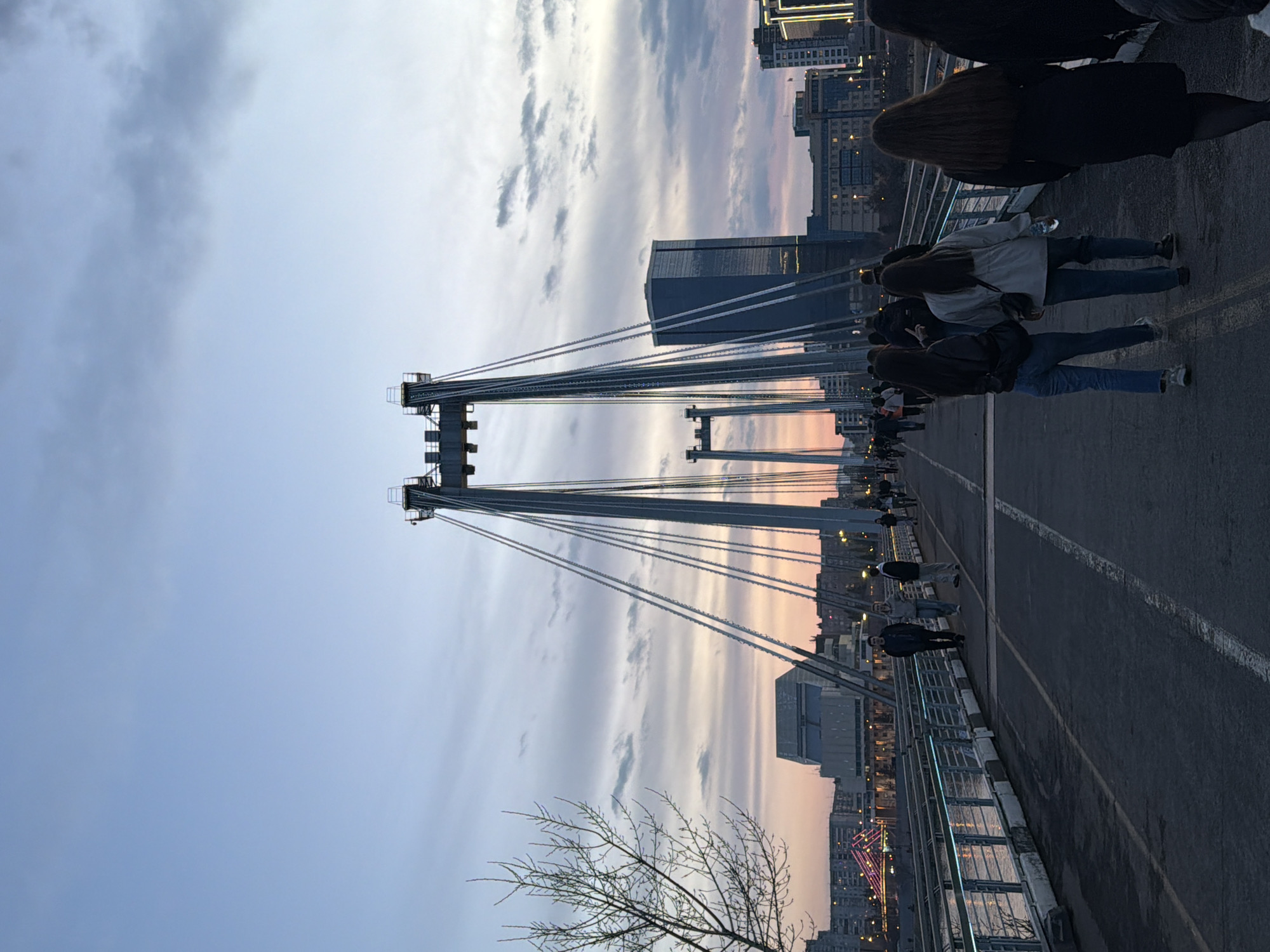 Here's a description of the image:
The image shows a pedestrian bridge in Krasnoyarsk, Russia, with a series of towers and cables. The sky is cloudy with hints of pink from the setting sun. The bridge is populated with pedestrians walking along it. City buildings can be seen in the background. In the foreground is a leafless tree.