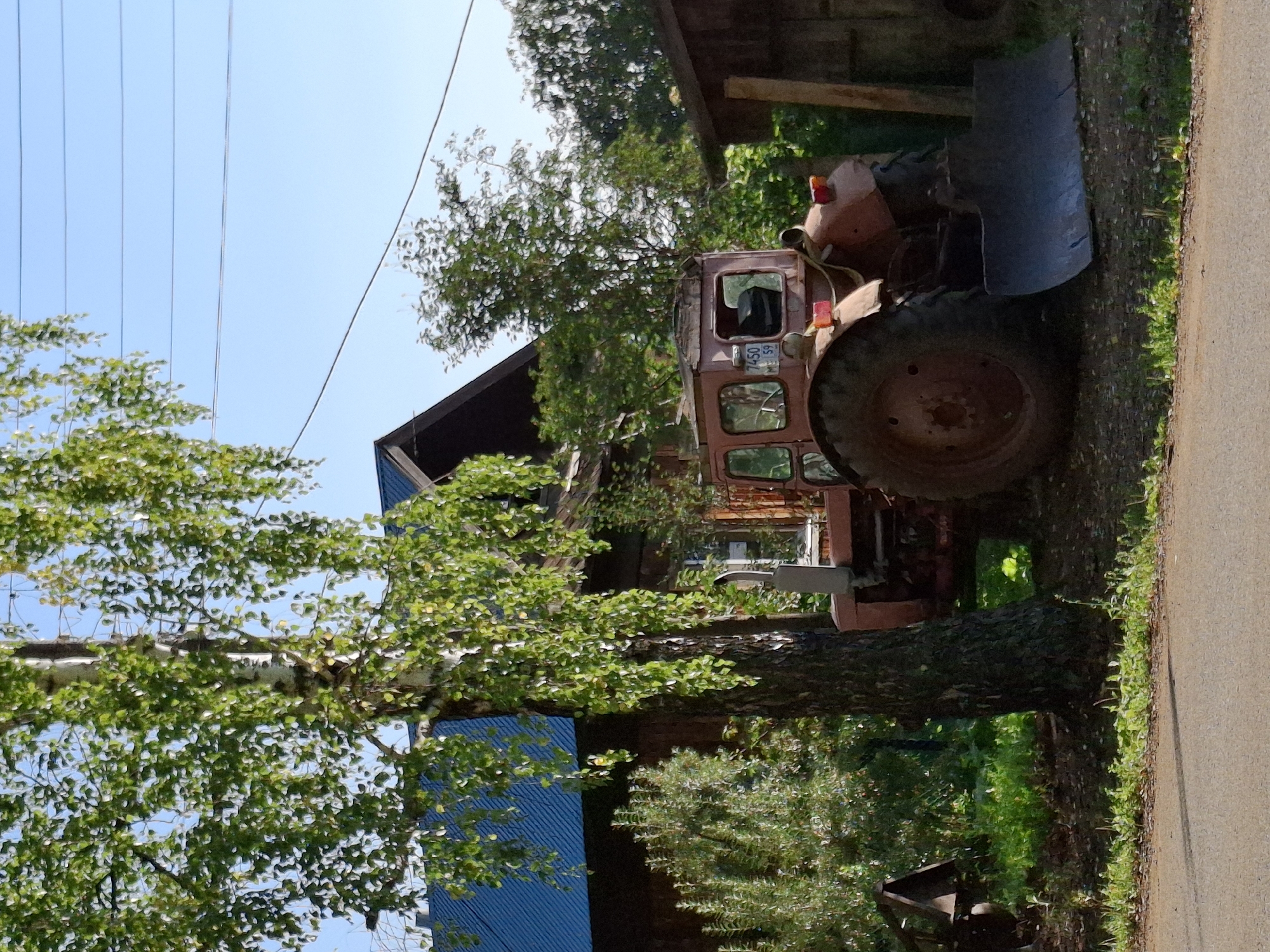 An old, weathered, red tractor with a front-mounted snow plow attachment is parked on a gravelly area next to a wooden building with a dark blue metal roof. A large birch tree with green foliage is in the foreground to the left of the tractor. The scene appears to be in a rural setting, possibly the city of Elovo, Russia, with a clear blue sky and power lines visible overhead. The ground is covered in gravel and some green grass. The tractor has visible signs of age and wear, with some rust and chipped paint. The windows of the tractor's cab are intact but dusty. There are no people visible in the image.