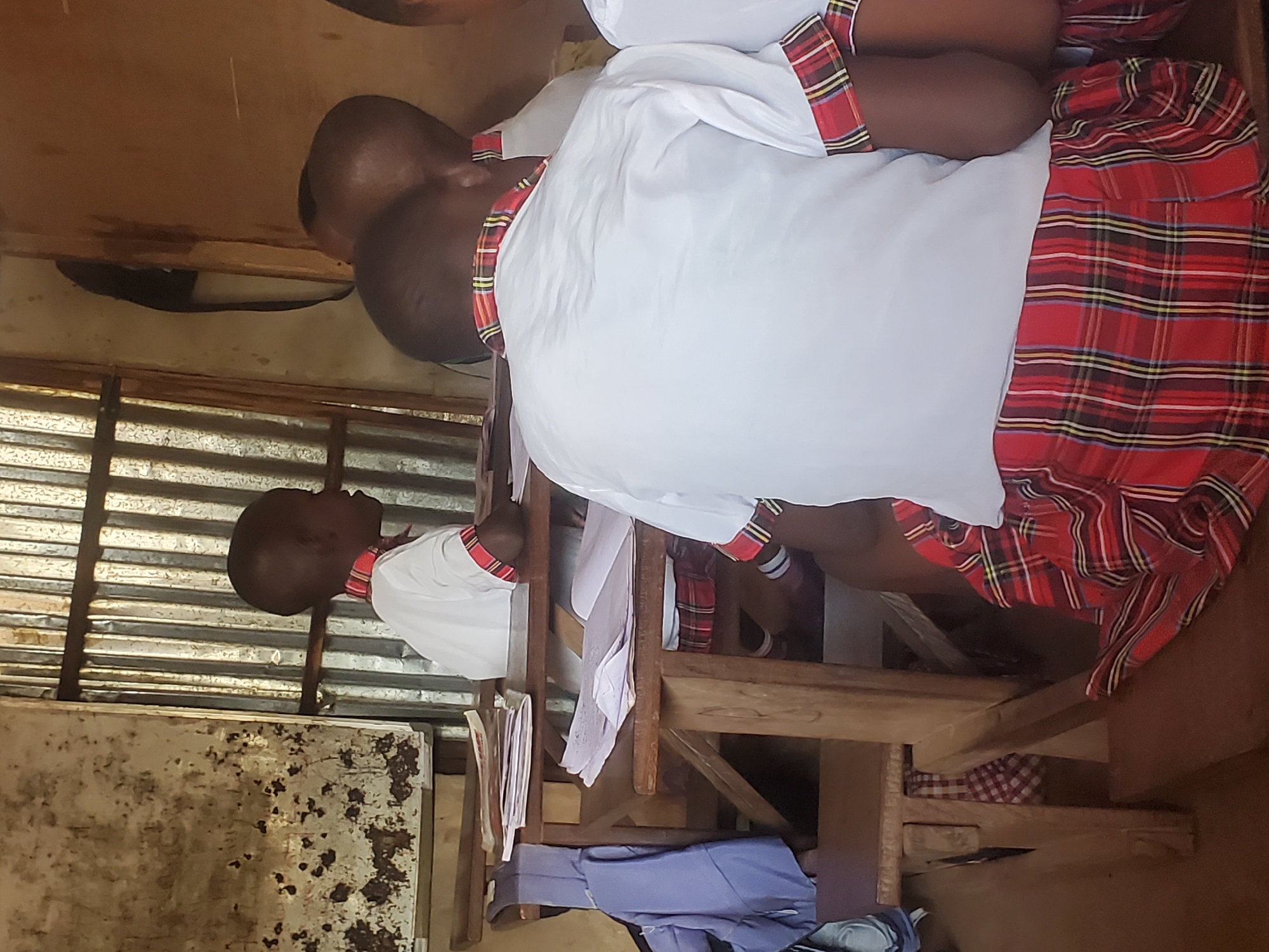 Here's a description of the image:
The image depicts three school children seated at wooden desks in a classroom setting. They are wearing school uniforms consisting of white shirts and red plaid skirts or shorts. The students appear to be engaged in studying, with papers and books on the desks. The classroom has a corrugated metal roof and a weathered, possibly rusty whiteboard on the wall. Another student is facing the class from the side, giving the implication that he might be studying or at his desk. The scene is most likely taken in the city of Ukwu-Abwa, Nigeria, as specified by the prompt.