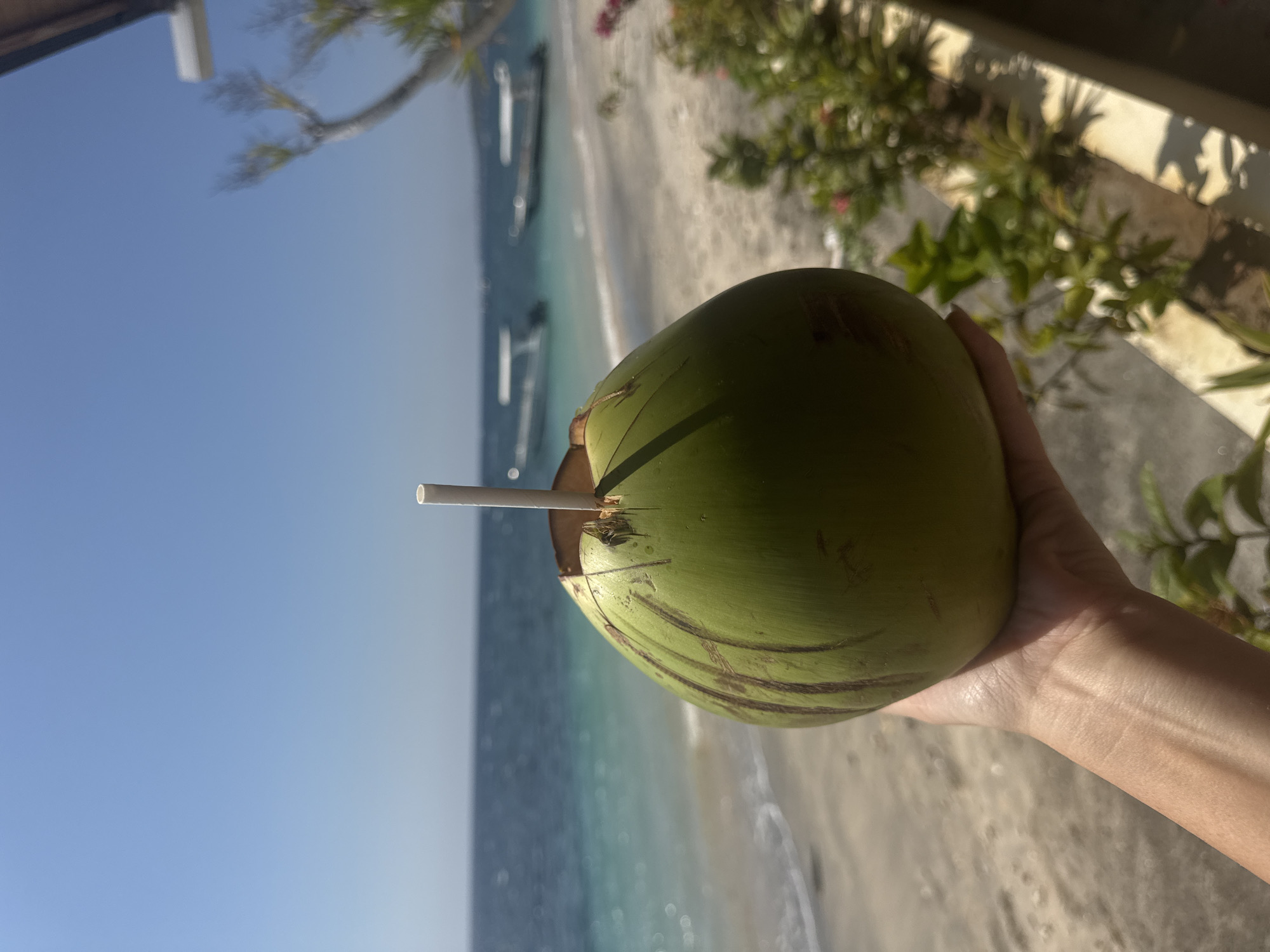 A hand holds a green coconut with a white straw in it, in front of a beach scene. The ocean is a vibrant turquoise blue, with gentle waves lapping onto a sandy shore. In the background, two white speedboats are anchored in the calm waters under a clear blue sky. Lush green foliage and some pink flowers are visible on the right side of the frame, suggesting a tropical setting. The overall impression is one of relaxation and vacation, likely on the island of Nusa Penida, Indonesia, known for its stunning beaches and clear waters.