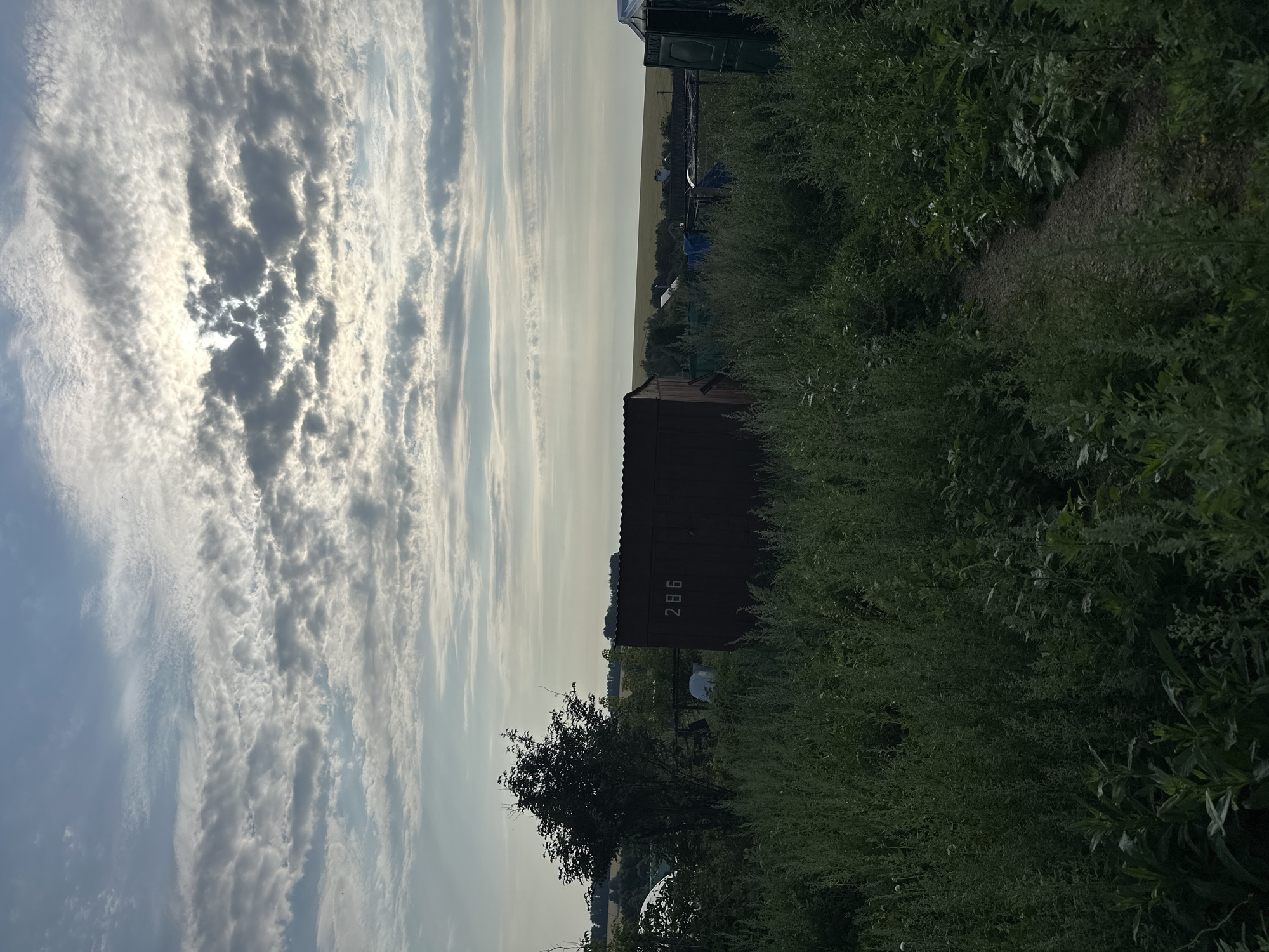 The image depicts a rural landscape under a cloudy sky with the sun partially obscured by the clouds, creating a dappled light effect. In the foreground, lush green vegetation, including tall grasses and weeds, dominates the scene. A narrow, gravel path winds through the overgrowth.
To the left of the path, a dark red, rectangular structure, possibly a shed or outbuilding, is visible. White numbers "286" are painted on its side. Further back, a lone tree with dark foliage stands to the left of the structure. In the background, a slightly elevated field or horizon line can be seen, with hints of distant trees and structures. A green portable toilet-like structure is visible on the far right. The overall impression is one of a somewhat unkempt, rural setting on the outskirts of a settlement. It is not possible to determine the specific location within the city of Улля, Russia from the image alone.