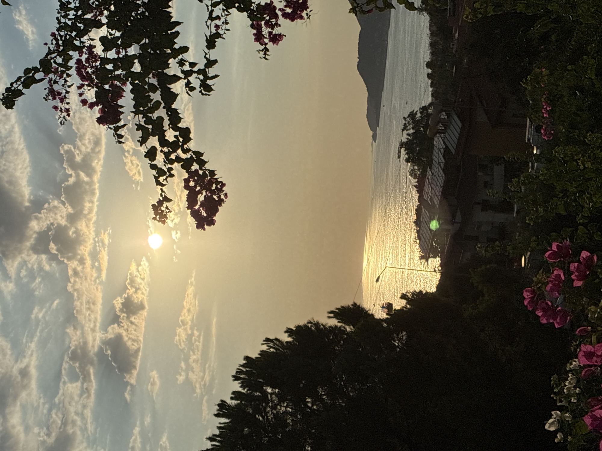 The image captures a serene sunset over the Mediterranean Sea, viewed from an elevated position overlooking Alanya, Turkey. The sky is a canvas of warm, golden hues, with the sun, a bright orb, casting a shimmering path across the water. Wispy clouds are scattered across the sky, some illuminated by the sun's rays.
In the foreground, dark silhouettes of trees frame the scene. To the left, a dense cluster of pine trees stands tall. To the right and upper edge, branches with vibrant pink bougainvillea flowers add a splash of color and detail.
Below the water's edge, a coastline is visible, dotted with buildings. The architecture suggests a Mediterranean style, with terracotta roofs and visible solar water heaters on some structures. A cable car, or teleferik, is suspended over the water, its cabin visible in the distance, adding a touch of human infrastructure to the natural landscape. A street lamp also stands out near the water's edge.
The overall impression is one of tranquility and natural beauty, with the sunset bathing the scene in a warm, inviting glow. The presence of the cable car and buildings subtly indicates the location is within a developed area, likely a hillside overlooking the city and sea.