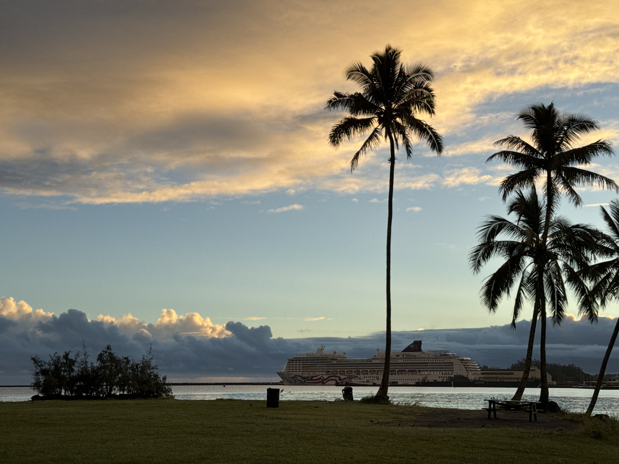 In Hilo, Hawaii, USA, a cruise ship is docked at sunset. The sky is ablaze with warm, orange and yellow hues, blending into shades of blue and gray as clouds drift across. Three prominent palm trees stand silhouetted against the vibrant sky, their fronds casting long shadows. In the distance, the large cruise ship, adorned with red and white stripes, is visible near the shore. The foreground features a grassy area with a picnic table and two trash cans. The calm water reflects the colors of the sky, creating a serene and picturesque scene.