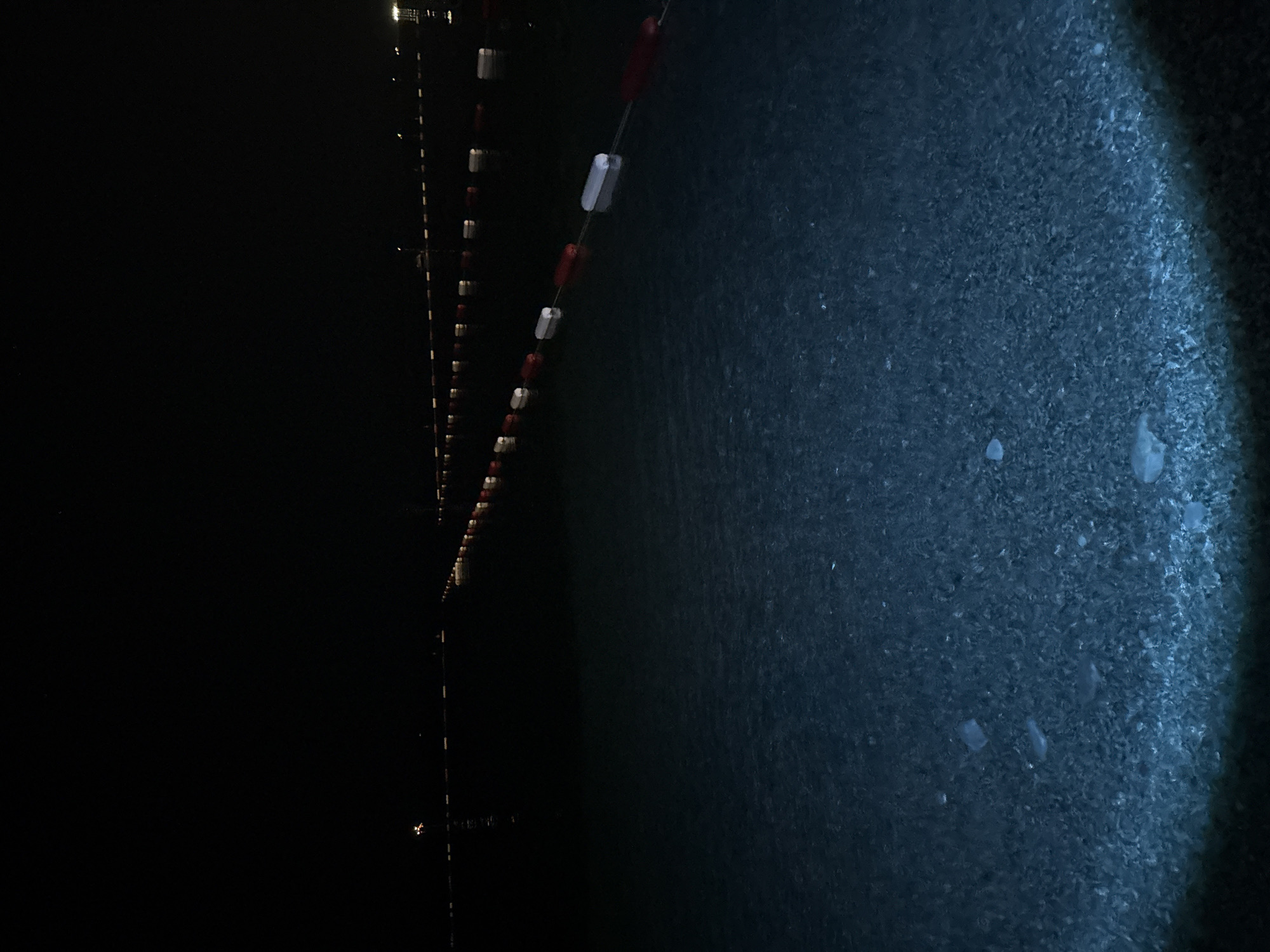 The image depicts a nighttime scene at a beach in Kamenovo, Montenegro. The foreground shows shallow, clear water with a visible pebbly seabed illuminated by a bright, bluish light, likely from a flashlight or underwater lights. A few indistinct, light-colored shapes, possibly small stones or debris, are scattered on the seabed. In the mid-ground, a series of buoys, alternating between red and white, are strung together by a rope, marking a boundary in the water. These buoys are partially submerged and faintly visible against the dark water. In the background, a line of distant lights stretches across the horizon, suggesting structures or lights from the town or other beach facilities. The sky is completely dark, indicating nighttime. The overall atmosphere is serene and quiet. There are no people visible in the image.