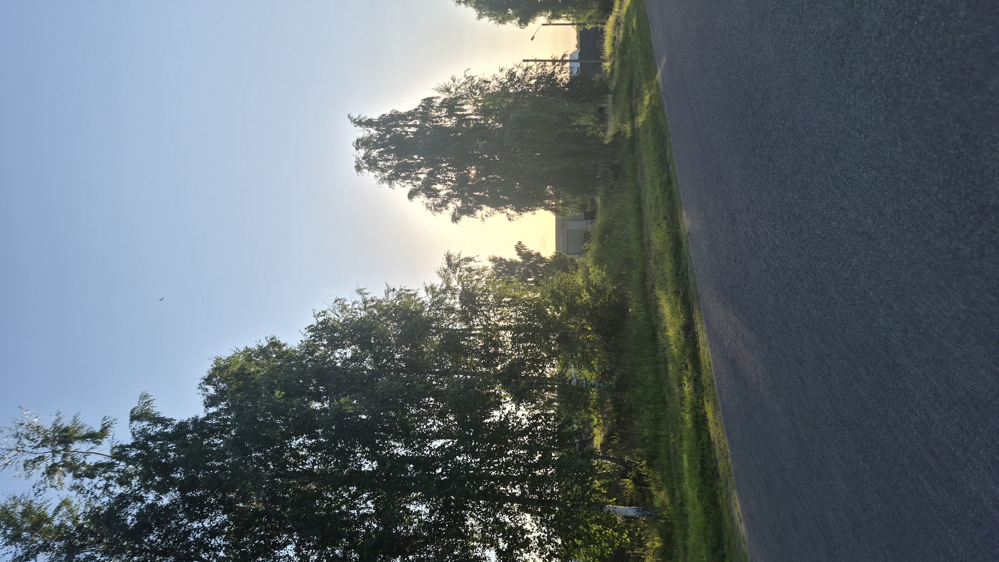 This is a slightly angled, medium shot of a rural roadside scene in Krauja, Latvia, taken during daylight, likely early morning or late afternoon due to the low angle of the sun. The foreground is dominated by a dark gray asphalt road, which curves slightly to the right and recedes into the background. The road surface shows minor texturing and some lighter-colored patches.
To the left and extending into the midground, a strip of lush green grass runs along the edge of the road. Beyond the grass, a cluster of tall, leafy birch trees with white bark are prominent on the left side of the frame. Their dense foliage is illuminated by sunlight filtering through from behind.
In the midground, behind the trees, a low-lying building with a light-colored facade and a dark roof is visible. It appears to be a utilitarian structure, possibly a shed or a small industrial building. Further to the right, the sun is low on the horizon, creating a bright, hazy glow that is partially obscured by the silhouettes of more trees, including a tall, slender birch tree with its branches reaching upwards. The sky is a clear, pale blue, with a single, small dark bird visible in the upper left quadrant. A lamppost with a curved arm is present on the right side of the midground. The overall impression is one of a quiet, semi-rural setting.