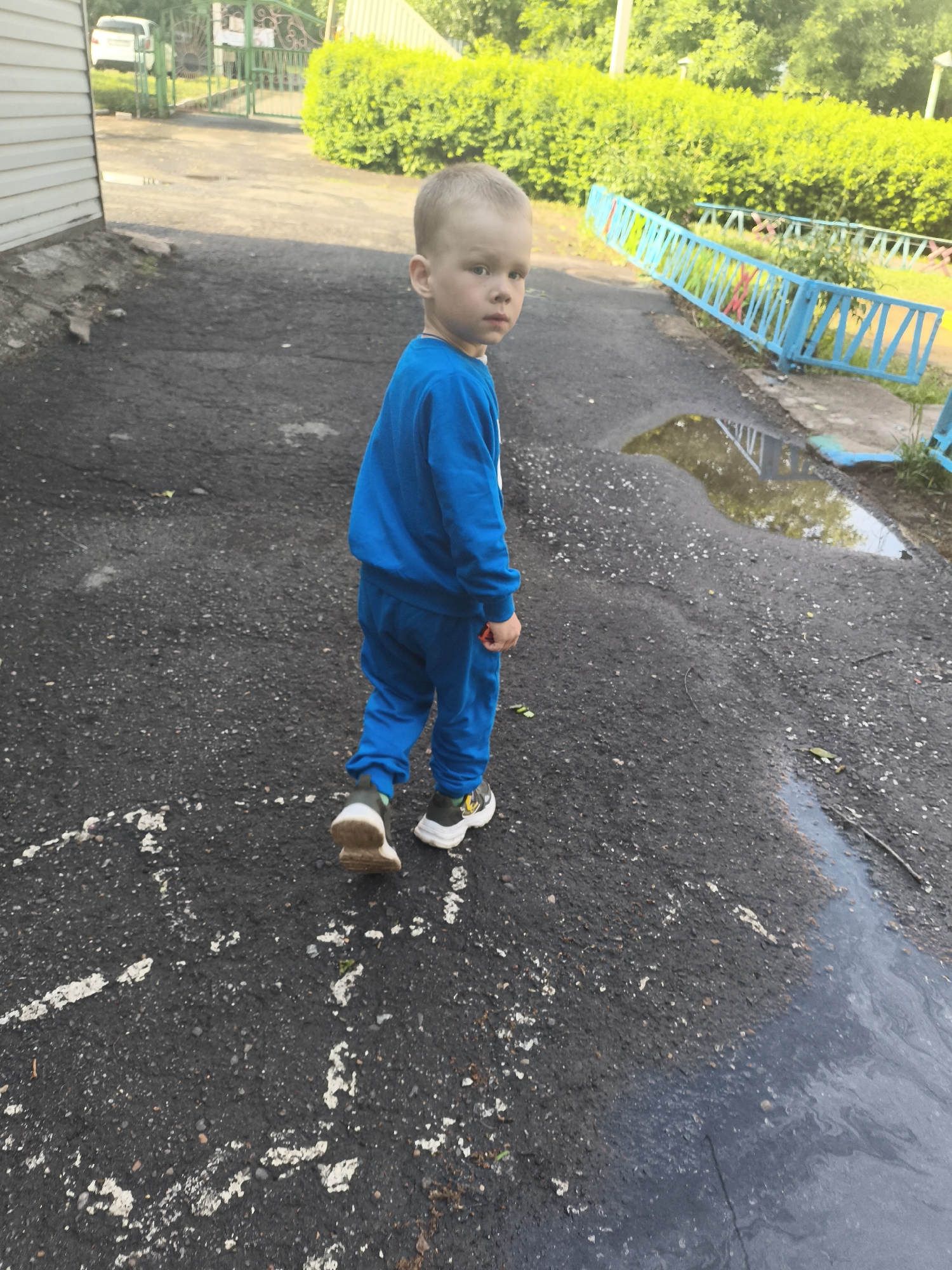 A young child in a blue tracksuit is walking away from the camera on an asphalt path in Izhevsk, Russia. The path has a puddle on the right side, reflecting the greenery above. White markings are visible on the asphalt near the child's feet. To the right, a low blue fence separates the path from a green hedge. In the background, a building with white siding is visible, as well as a white car parked near a green gate.