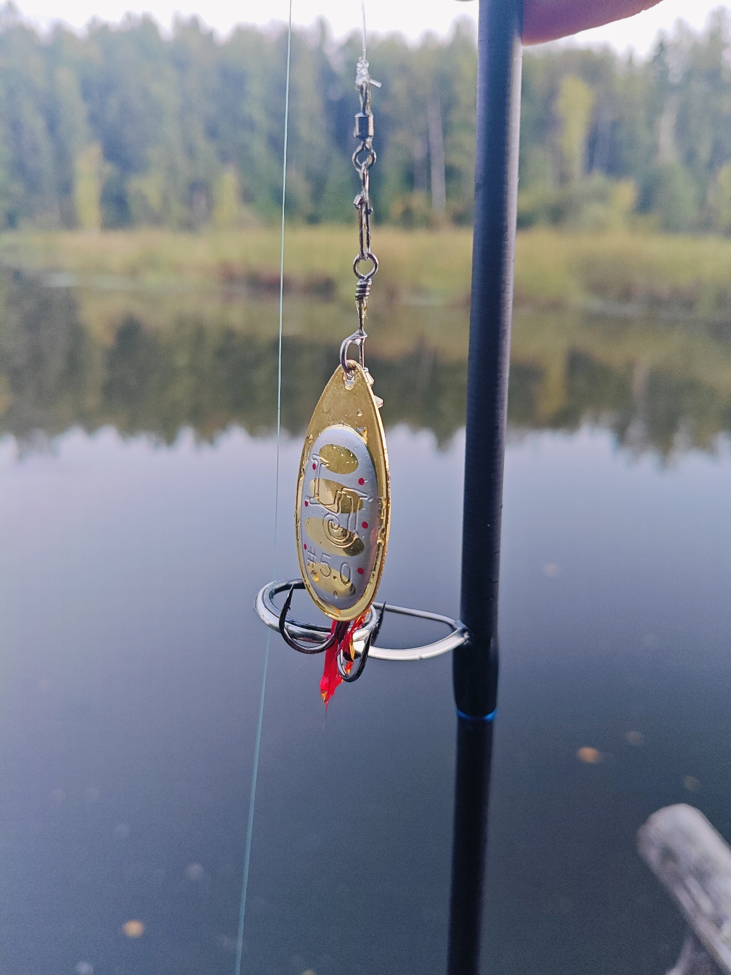A fishing lure, attached to a fishing rod by a line and swivel, is shown against a blurred background of trees and water. The lure is gold and silver with red polka dots and text that reads "#5.0". The fishing rod is black and held by a person's thumb and forefinger. The scene appears to be outdoors, possibly near a body of water, which is a common sight in the city of Chaikovsky, Russia, known for its many rivers and lakes.