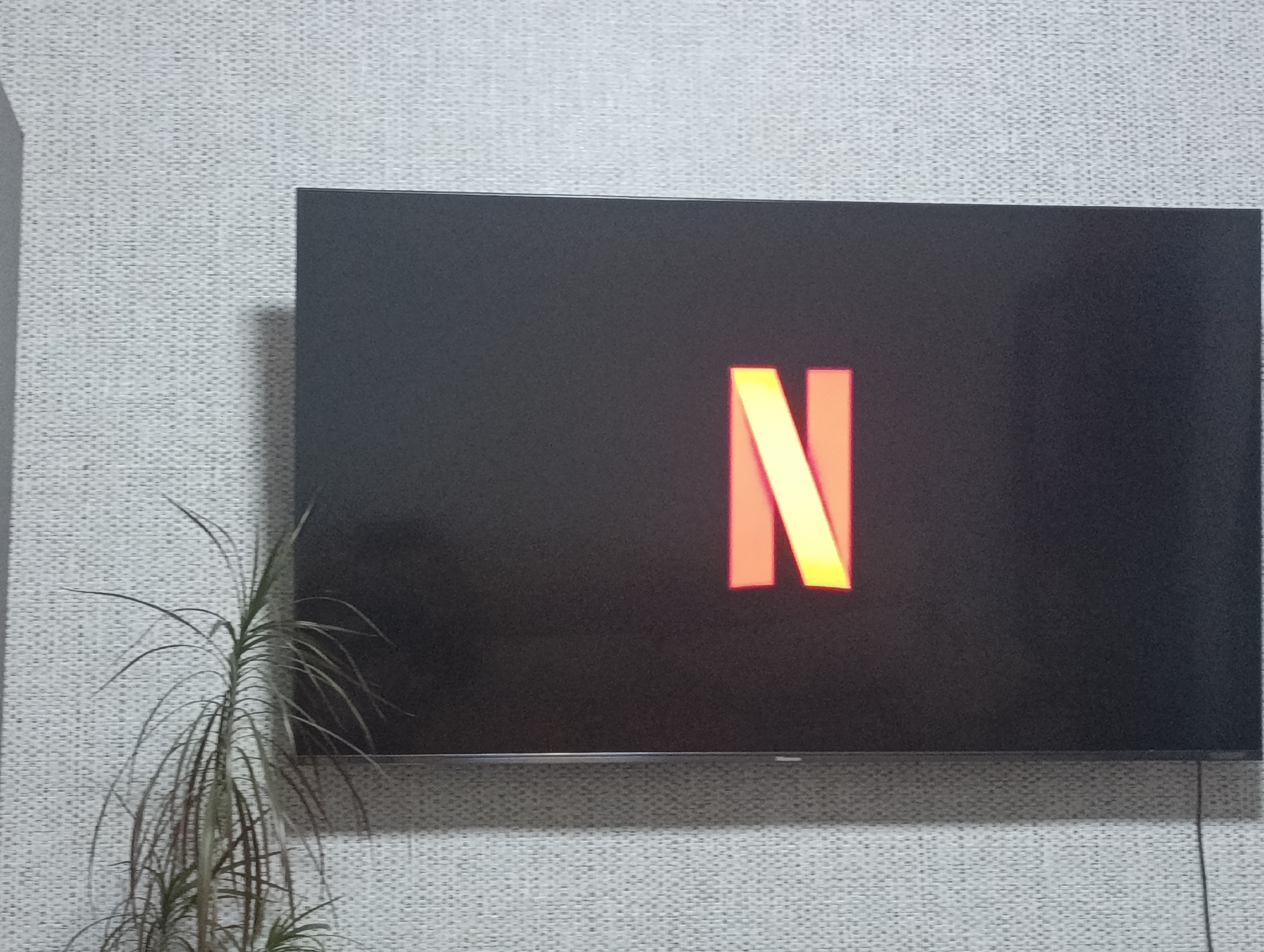 An outdoor shot shows a flat-screen television mounted on a textured gray wall. The television screen displays the illuminated red and yellow "N" logo of Netflix. To the left of the television, a thin, leafy houseplant stands. The overall scene suggests an indoor setting.