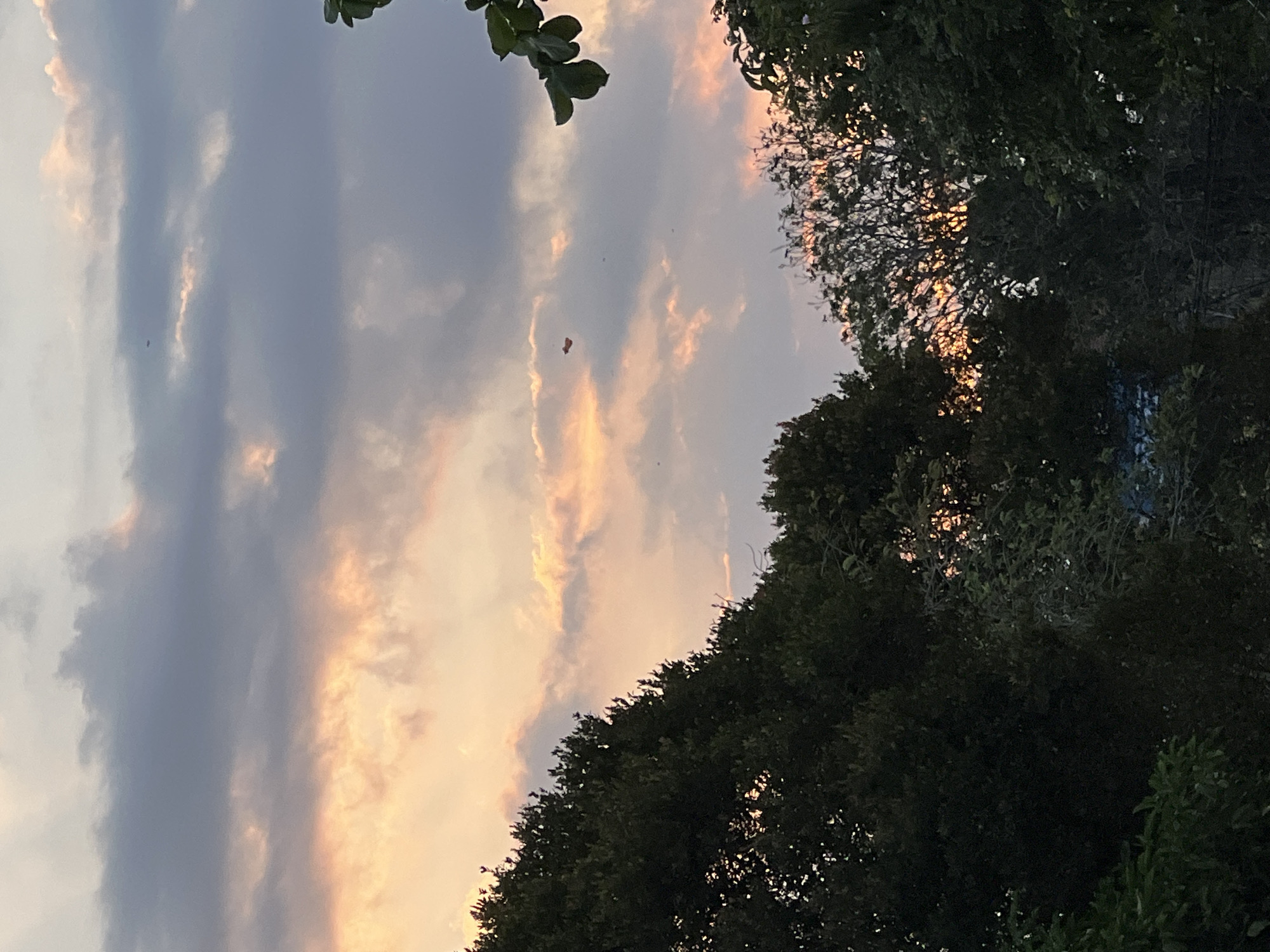 The image shows a sunset sky with scattered clouds above a silhouette of trees. A small, orange object is visible in the sky, possibly a kite or a distant aircraft. The scene is likely set in Denpasar, Indonesia, given the presence of lush greenery and the characteristic tropical sunset colors. There are no people or visible interactions in the image, only the natural environment and a solitary object in the sky.