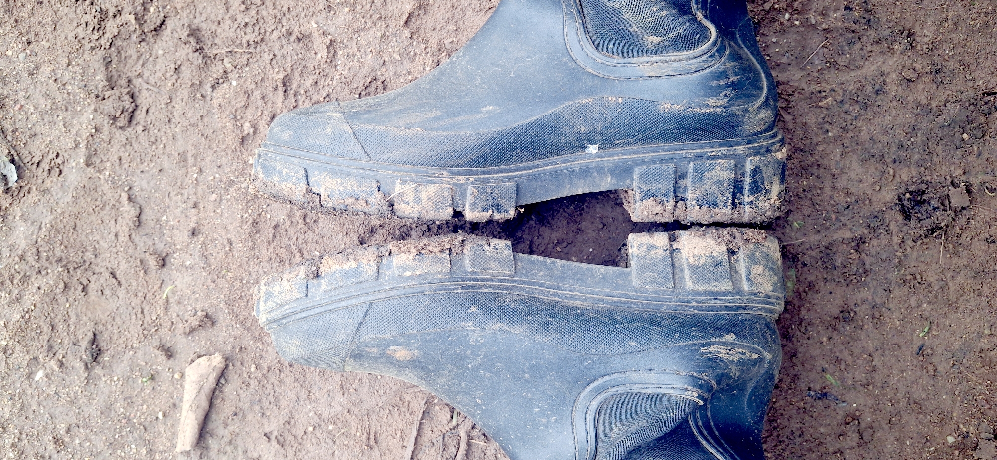 The image presents a top-down view of two dark-colored, sturdy boots, likely made of rubber or similar waterproof material, resting on muddy terrain. The boots appear to be either black or a very dark blue. Both boots are heavily soiled with reddish-brown mud, particularly clinging to the thick, lugged soles and splattered across their lower sides. The ground itself is uneven and consists of damp, earthy mud mixed with small stones and debris, suggesting recent wet weather or a consistently muddy environment.
No people are visible in the image, focusing solely on the footwear and the ground. The boots are stationary, implying they have either been placed down or are being worn by someone standing still. The overall scene depicts the aftermath of traversing muddy conditions. A small, light-colored object, possibly a twig or a small rock, is visible on the ground near the bottom left corner. There is no discernible text anywhere in the image. The muddy conditions strongly indicate an outdoor setting, consistent with the location context of Vallecito, Venezuela, where such terrain might be common. The lighting appears natural but diffused, without strong shadows, making the time of day difficult to pinpoint.