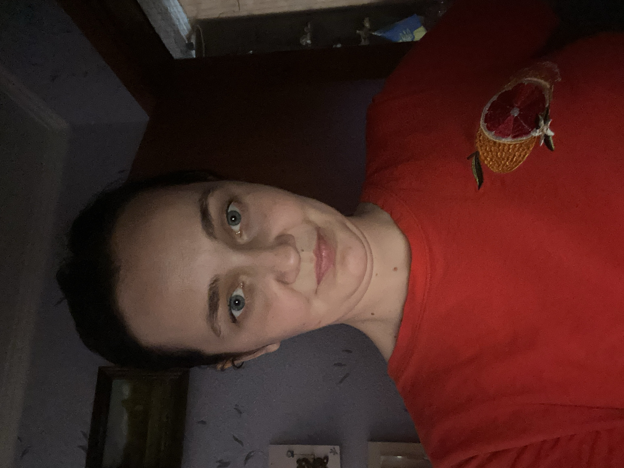 A woman is taking a selfie in a dimly lit room. She has dark hair pulled back and is wearing a red t-shirt with an embroidered grapefruit design on the left side of her chest. Her expression is neutral, with her mouth slightly pursed. In the background, a framed painting hangs on a wall with a textured wallpaper. A doorway is visible to the right, with a glimpse of what appears to be a closet or another room. The lighting suggests the photo was taken indoors with artificial light.