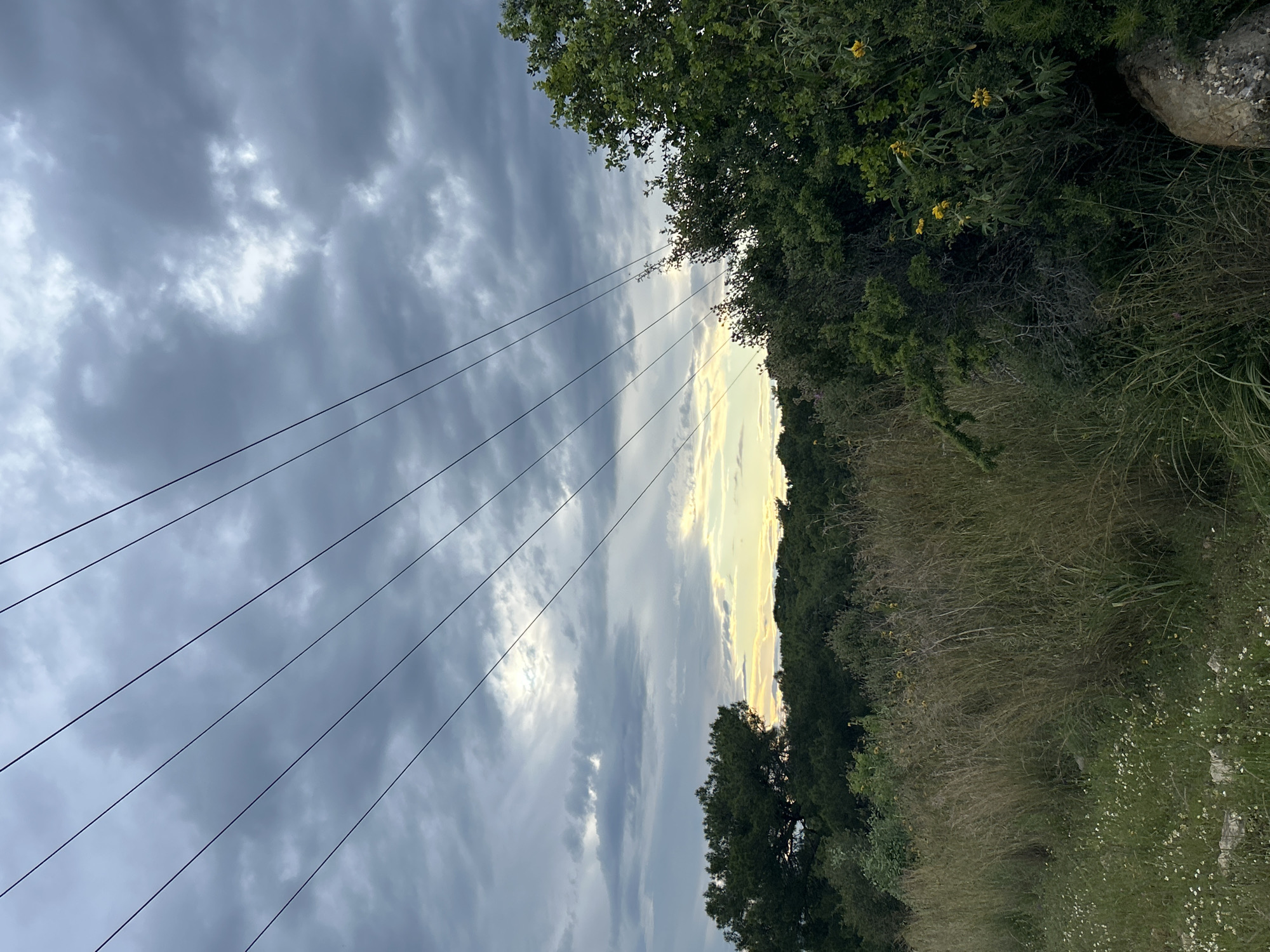 The image is a landscape scene under a cloudy sky. The ground is partially covered with grassy vegetation and trees, especially in the right part. Power lines intersect the upper left portion of the image. The location is indeterminate, and the city of Alanya, Turkey, cannot be confirmed. There are no identifiable people, actions, or interactions.