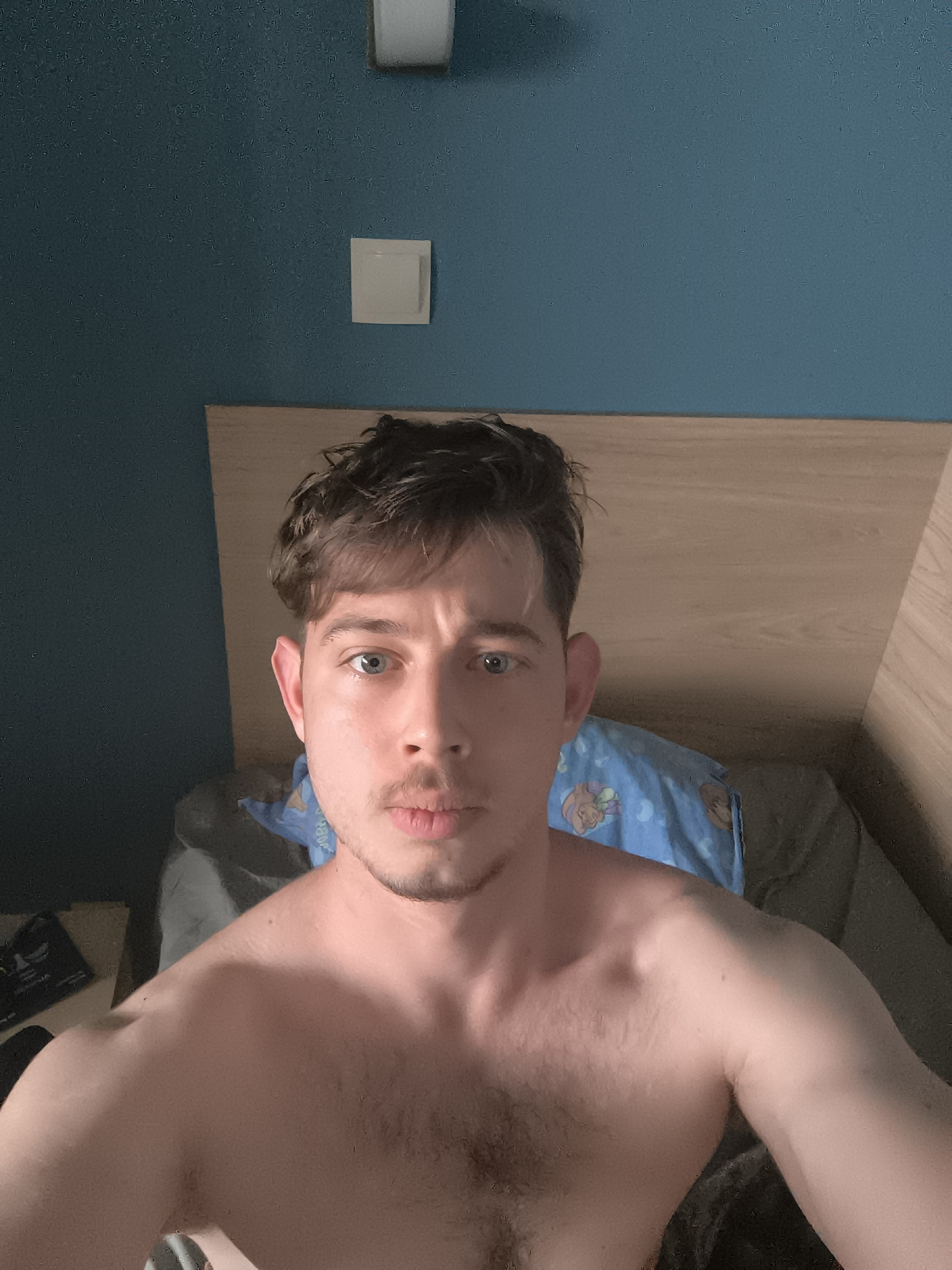 This image is a medium shot selfie of a young adult male, likely taken indoors in a bedroom. The man has fair skin, wavy brown hair, and blue-green eyes, with a light beard/stubble on his face. He is shirtless, revealing a moderately hairy chest and shoulders, and he looks directly at the camera with a neutral expression and slightly parted lips.
The background features a light-colored wooden headboard. Above the headboard, the wall is painted a distinct dark teal or blue-green color, with a subtle textured appearance. A small, white square object, likely a light switch or electrical outlet, is mounted on this wall. Behind the man's head and shoulders, a blue pillow with faded cartoon character prints (resembling figures like Tigger) is visible on a bed, alongside some darker-colored bedding.
The lighting is soft and appears to be natural, suggesting daytime. The subject's face and upper body are well-lit. No specific location cues are visible within the frame, but external context indicates the photo was taken in Sofia, Bulgaria. There is no visible text in the image.