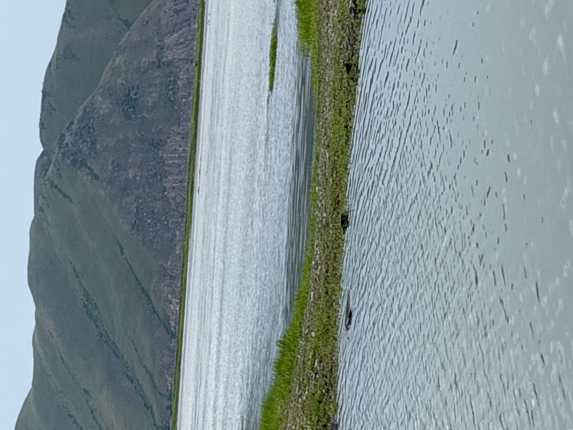 The image shows a wide, calm body of water in Chernogorsk, Russia. In the foreground, the water is rippled, and there is a strip of green grass and vegetation along the edge of the water. A dark, semi-submerged object, possibly an animal, is visible in the water near the grassy bank. In the middle ground, the water appears smoother, with some patches of green vegetation floating on the surface. In the background, rolling, green, grassy hills rise towards a hazy sky. The scene depicts a natural landscape, likely a lake or reservoir, with the hills of Chernogorsk in the distance.