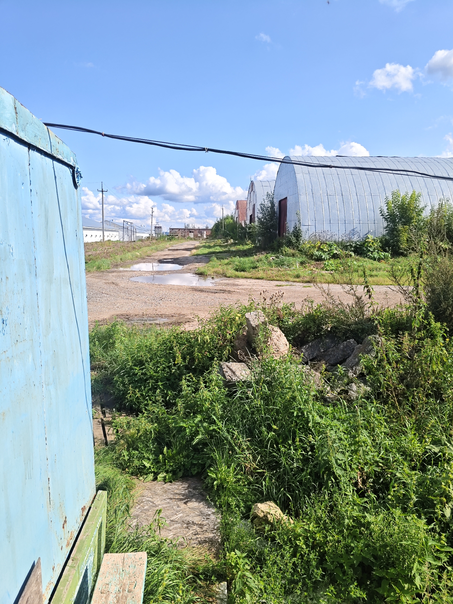 The image depicts a clear day in Platoschino, Russia, with a bright blue sky and scattered white clouds. In the foreground, a weathered blue metal structure, possibly a shipping container or a shed, occupies the left side of the frame. A portion of a rustic wooden bench with green trim is visible at the bottom of this structure.
The scene opens up to a dirt and gravel road leading into the distance, with several large puddles of water reflecting the sky. On either side of the road, lush green vegetation, including tall grass and various plants, grows abundantly. Some scattered rocks and concrete debris are present amidst the greenery.
Further down the road, a series of Quonset huts, characterized by their curved, corrugated metal roofs, are visible. These structures appear to be industrial or agricultural buildings. Some of the huts have red doors. Beyond the huts, other buildings and structures, including what appears to be a white industrial building with a row of windows, and utility poles with electrical lines, can be seen in the background, suggesting an industrial or agricultural complex. The overall environment suggests an outdoor, semi-rural or industrial area under a sunny sky.