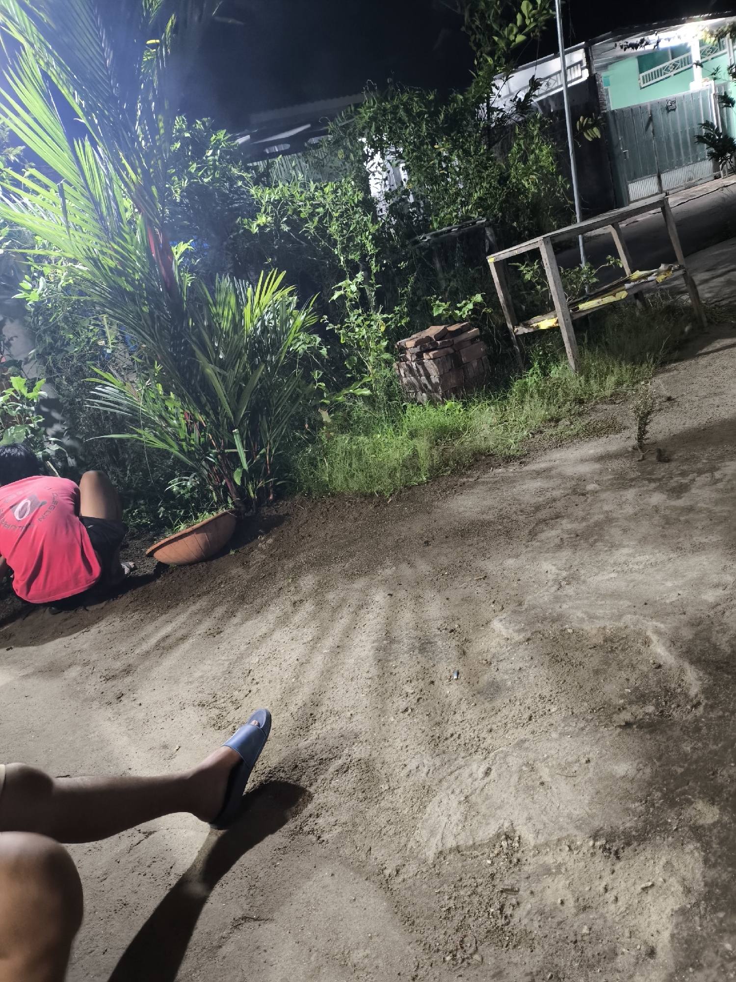 The image depicts an outdoor scene at night, possibly in a residential area in Cilegon, Indonesia, characterized by a mix of vegetation and man-made structures. A person wearing a red t-shirt and dark shorts is kneeling on the ground, partially obscured by a large palm-like plant. The individual appears to be engaged in some activity involving the soil. To the left of the person, a shallow, brown, bowl-shaped object is placed on the ground. In the foreground, a person's leg wearing a blue sandal is visible, casting a shadow. The ground is a mixture of soil and sand, with some patches of grass. In the background, there are lush green bushes and trees, and a partially visible structure that might be a fence or a wall. Further in the background, a light-colored building with green accents and a metal fence or gate can be seen. A wooden frame structure, possibly a makeshift shelf or stand, is also present. The lighting suggests artificial illumination, likely from nearby sources. The overall impression is one of a casual, possibly domestic setting, perhaps a garden or yard.