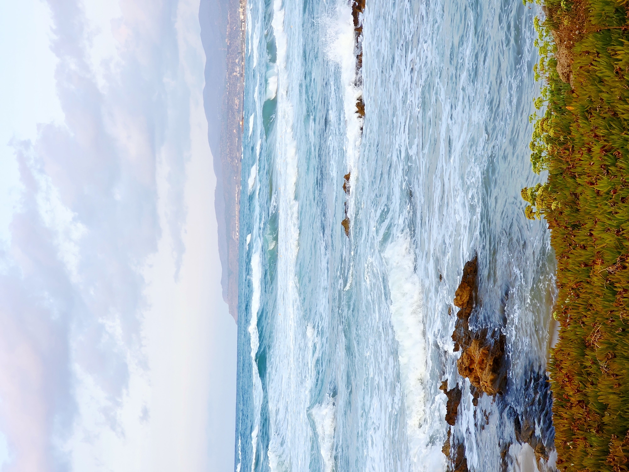 This image depicts a coastal scene with a turbulent sea and a hazy mountain range in the background. In the foreground, a dense patch of succulent green and reddish-brown vegetation, possibly ice plant, lines the edge of the land. Beyond the vegetation, a rocky shoreline is visible, with several large, orange-brown rocks emerging from the shallow water. The sea is a vibrant turquoise blue, with numerous waves breaking and churning, creating white foam. The water extends to the horizon, where a distant, hazy mountain range is silhouetted against a pale, cloudy sky. The overall impression is one of a wild, natural coastline, likely in the vicinity of Malia Municipal Unit, Greece.