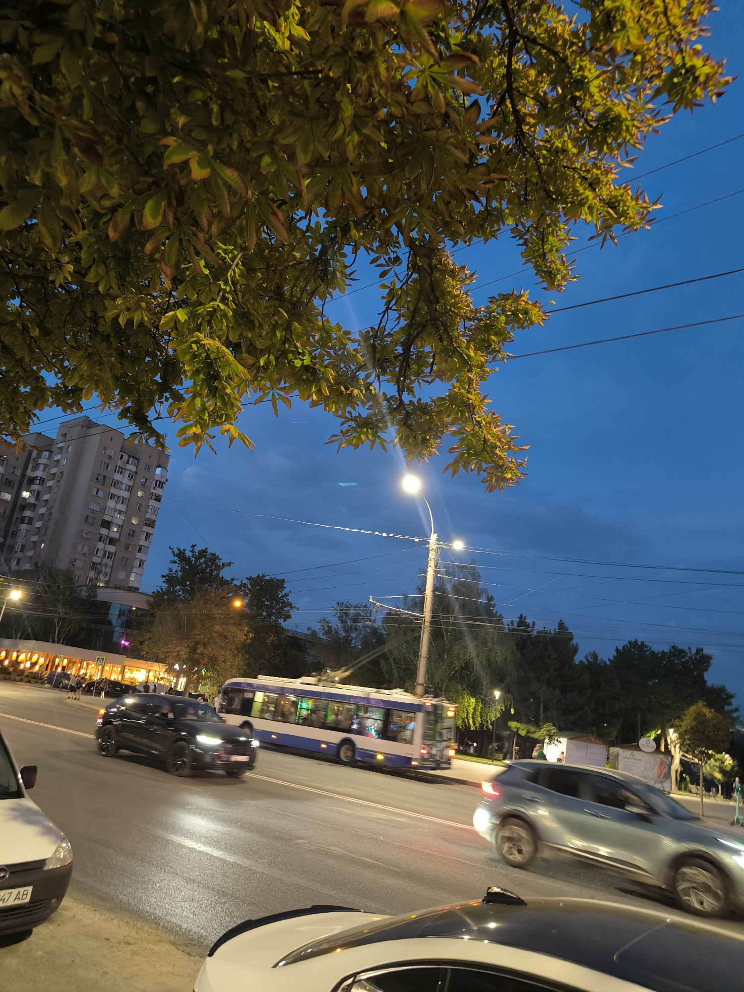 This image captures a street scene in Chișinău, Moldova, during dusk. A large apartment building with many windows is visible on the left side of the frame. In the foreground, several vehicles are on the wet road, including a black SUV and a light-colored car. A public transport bus with people inside is moving in the same direction. Overhead, tree branches with yellowing leaves partially obscure the deep blue twilight sky. Streetlights are illuminated, casting a warm glow on the scene. Power lines are strung across the sky. The environment suggests an urban setting with ongoing traffic.