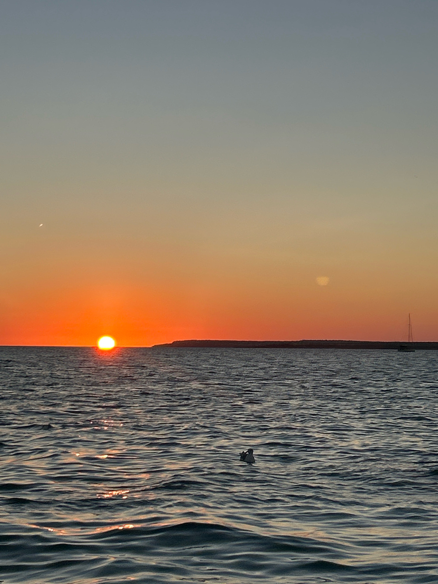 A wide-angle, eye-level, vertical shot captures a sunset over the sea near Campos, Spain. The sun, a bright orange orb, is setting on the horizon, casting a warm glow across the sky. The sky transitions from a pale blue at the top to a vibrant orange near the horizon. A faint crescent moon is visible in the upper left portion of the sky. The sea is dark blue with ripples, reflecting the sunset colors. A distant landmass, possibly an island or coastline, stretches across the horizon. A sailboat is visible in the distance on the right side of the frame. A single bird is floating on the water in the lower center of the image. The overall scene conveys a sense of calm and tranquility.