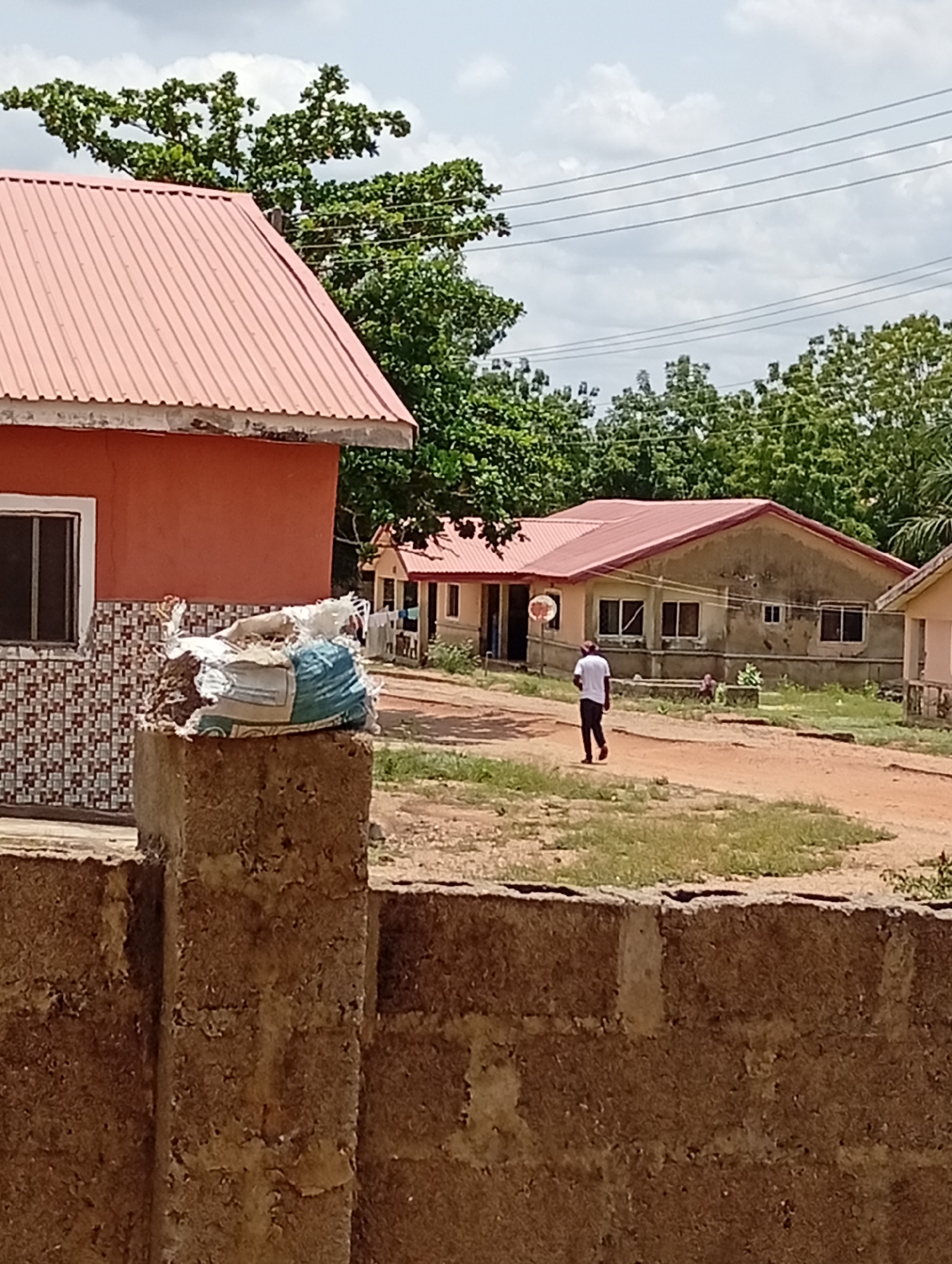 This image depicts an outdoor scene in a residential area, likely in Adankolo, Nigeria, under an overcast daytime sky. In the foreground, a robust, unplastered concrete block wall stretches across the bottom, with a vertical concrete pillar rising on the left. On top of this pillar rests a large, partially open woven sack, white with blue markings, appearing to contain soil or debris.
To the left, a single-story building with a vibrant orange-brown facade and a red corrugated metal roof is visible. Its lower wall is adorned with patterned brown and white tiles, and a dark-framed window is set into its side. A reddish-brown dirt path or road winds through the center of the frame, leading towards the background.
A solitary person, a man seen from behind, walks along this path, heading away from the viewer. He is dressed in a white short-sleeved shirt and dark pants. Further back, another single-story house, painted in a muted beige or light brown, also features a prominent red corrugated roof. This house has multiple dark-framed windows and a small, circular orange satellite dish affixed to its exterior. A smaller, lighter-colored building with a similar roof is partially visible on the far right.
Abundant green trees and dense foliage form a lush backdrop, surrounding the houses. Several utility lines or power cables are visible against the cloudy, bright sky, stretching horizontally across the upper portion of the image. The scene captures an ordinary, tranquil moment in a local community setting.