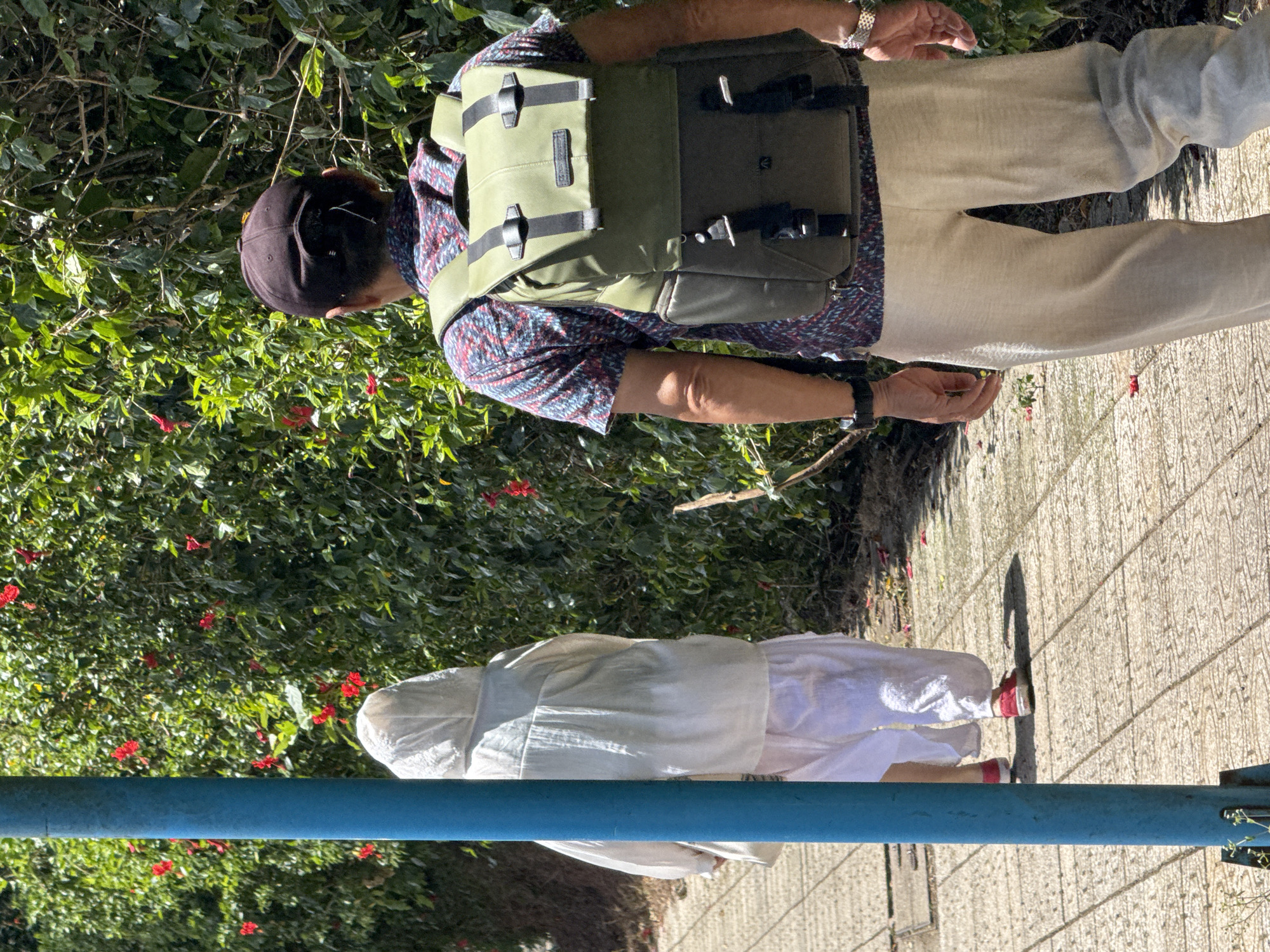 Two individuals are walking on a paved pathway lined with a lush green hedge dotted with small red flowers. A bright blue pole stands to the left of the frame, partially obscuring the view of the first person.
The first person, walking ahead and slightly to the left, is wearing a white hooded garment and white pants, with red shoes visible. Their back is to the camera.
The second person, walking behind and to the right, is wearing a colorful short-sleeved shirt, light-colored pants, and a dark baseball cap. They are carrying a two-toned olive green backpack. They are also facing away from the camera.
The environment appears to be an outdoor setting, possibly a park or a residential area with abundant vegetation. The pathway is made of textured square tiles. The scene is illuminated by bright sunlight, casting shadows. There is no indication of the city of Da Lat, Vietnam, in the image.