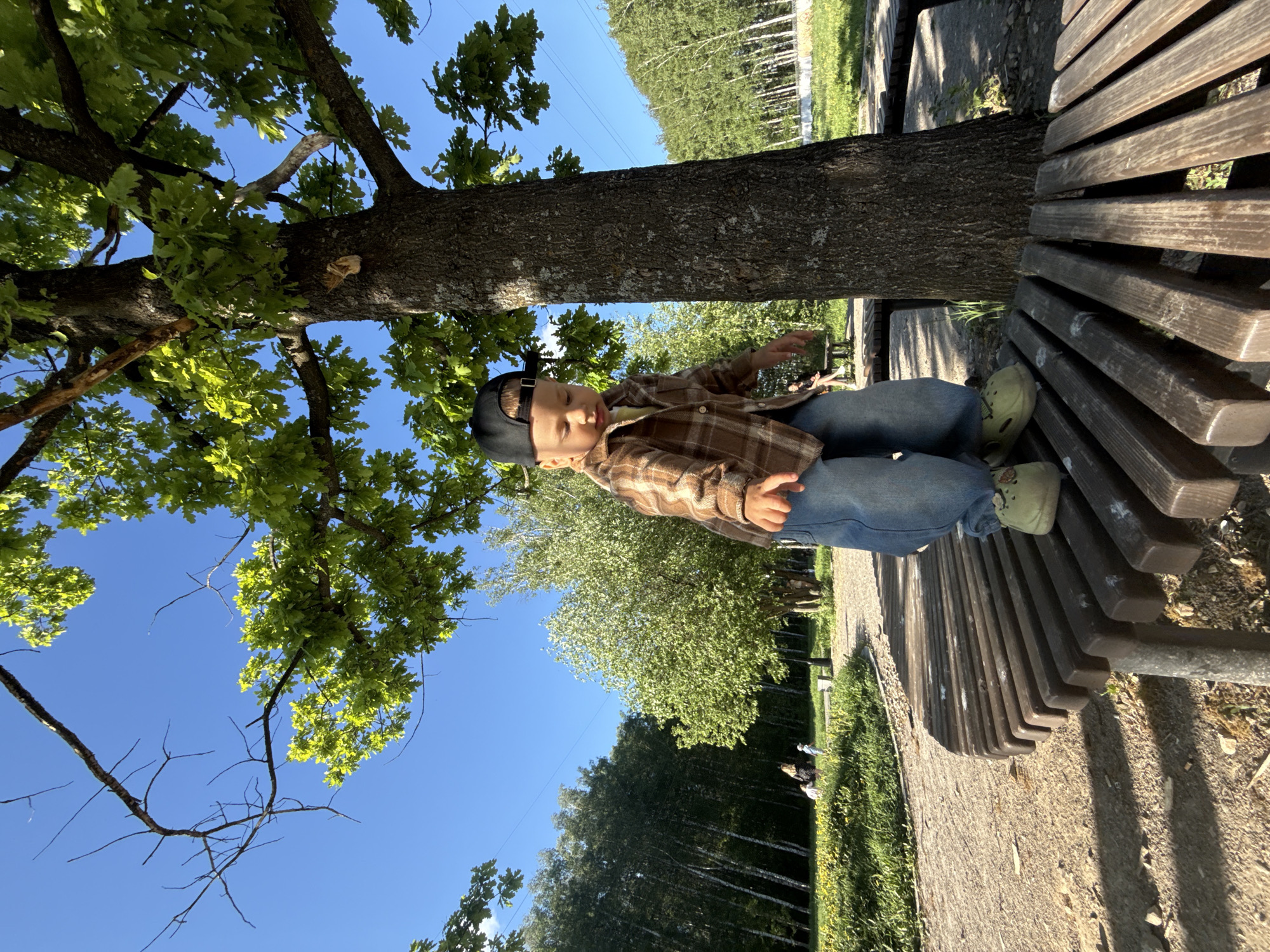 A young child wearing a plaid shirt, blue jeans, a black baseball cap, and light green shoes sits on a wooden bench that encircles the base of a tree. The tree trunk is centered in the bench's design. Leaves are visible above the child, framing a clear blue sky. Beyond the tree and bench, there is a grassy area with other trees in the distance, suggesting the scene is set in a park. The photo appears to have been taken during the day with bright sunlight.