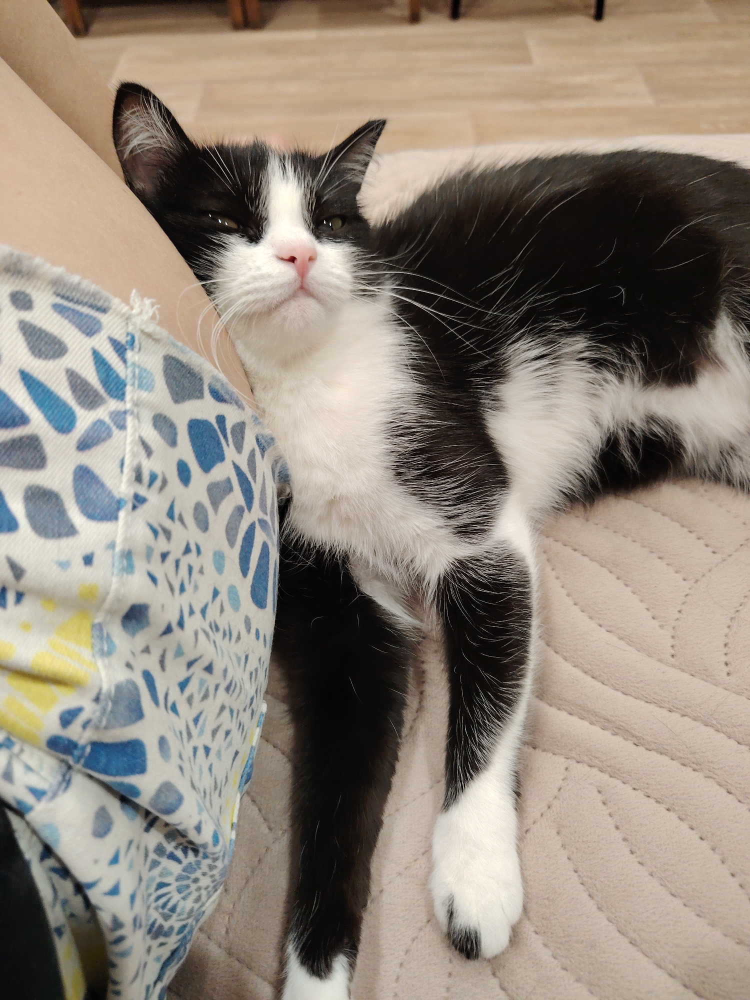 A black and white tuxedo cat is the central subject of this close-up, indoor image. The cat is shown resting comfortably, with its head nestled against what appears to be a person's upper arm or leg, partially covered by patterned fabric.
The cat has distinct black fur with white markings on its chest, belly, paws, and face. Its nose is pink, and it has prominent white whiskers. Its eyes are partially closed, suggesting a state of relaxation, sleepiness, or contentment. One ear is clearly visible, black with white fur inside.
To the left of the cat, a portion of a person's limb is visible, covered in clothing featuring a blue, white, and yellow abstract or geometric pattern. The visible skin is light-toned.
The cat is lying on a light beige or tan quilted blanket, bedspread, or sofa cover, which has a subtle textured pattern. In the blurred background, a light-colored wooden floor and the dark legs of furniture can be discerned, confirming an indoor setting.
The overall impression is one of peaceful companionship and domestic comfort, with the cat appearing very much at ease. There is no visible text in the image.