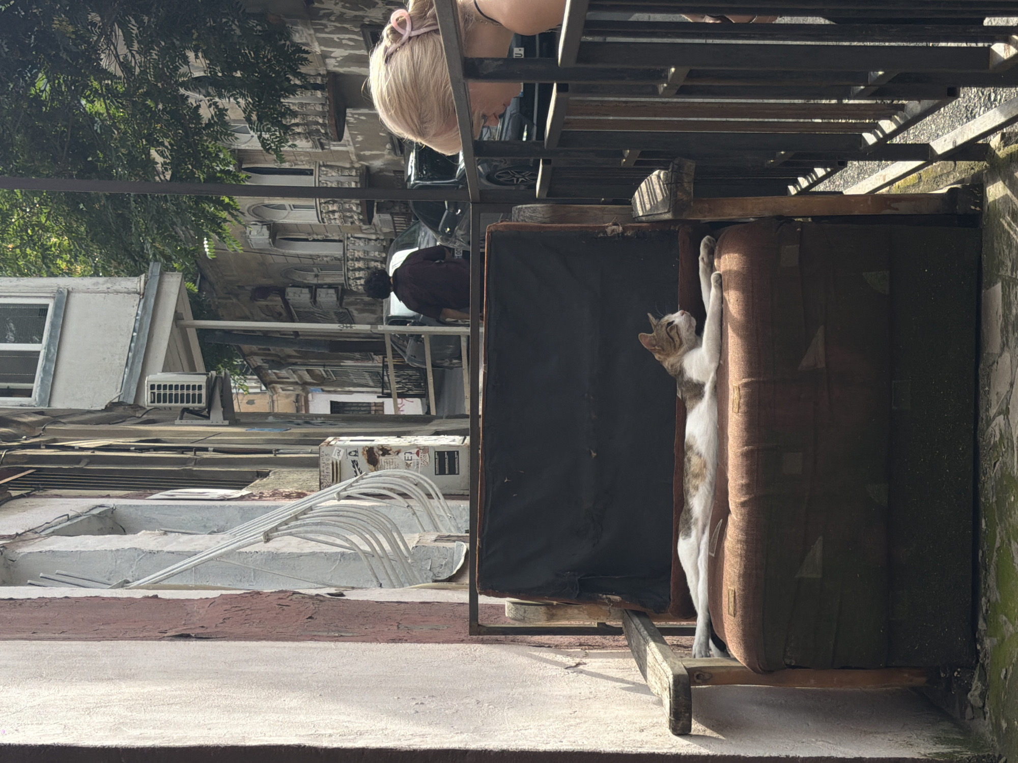 A tabby and white cat is lounging on a worn, brown upholstered armchair on a narrow street in Tbilisi, Georgia. The cat is stretched out on its side, with its head turned to the left. Behind the cat, a person wearing a dark shirt walks away from the viewer down the street. To the right of the cat and chair, a young woman with blonde hair tied back with a pink scrunchie leans over a black metal fence, looking down at the cat. The street appears to be lined with old, multi-story buildings with balconies and windows, some of which have air conditioning units. The light suggests it is daytime. The scene is framed by a textured, pink and white wall on the left and the metal fence on the right.