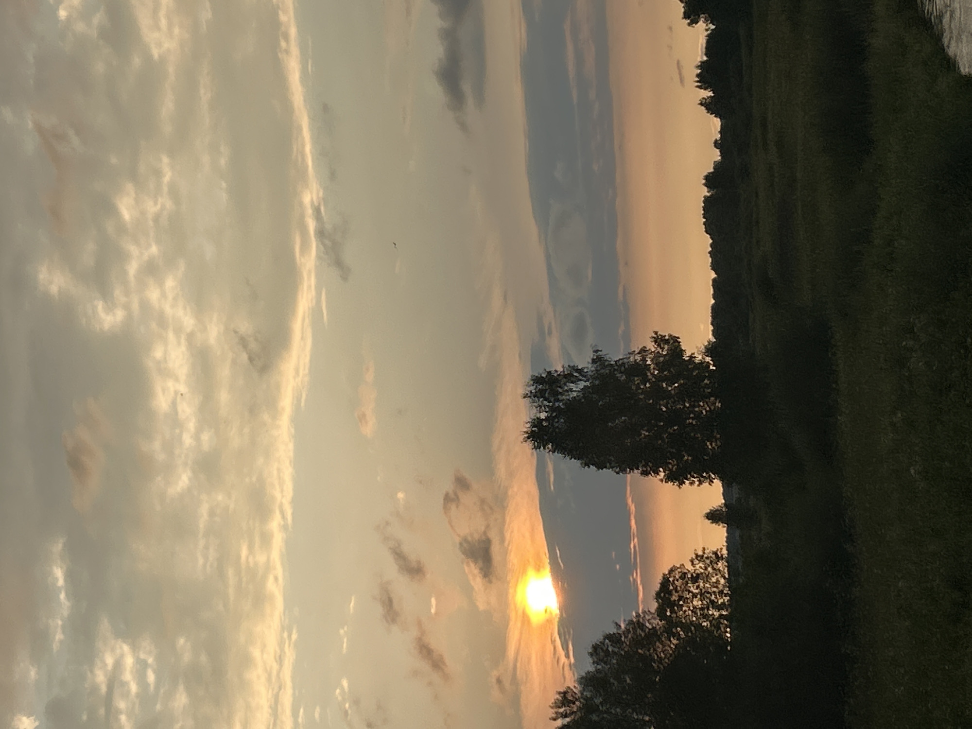 The photograph captures a serene sunset over a natural landscape. The sky is a canvas of warm hues, transitioning from a bright, golden sun peeking through grey clouds on the left to softer orange and peach tones as it descends. Wispy clouds dot the sky, with some appearing thicker and darker, while others are translucent and light.
In the foreground, a dark silhouette of trees frames the scene, with a taller, slender tree standing out in the middle ground. The ground is covered in dark green vegetation, suggesting a field or meadow. The overall impression is one of natural beauty and tranquility, typical of a rural setting at dusk.
This image was taken in the city of Kalitsino, Russia, during the golden hour.