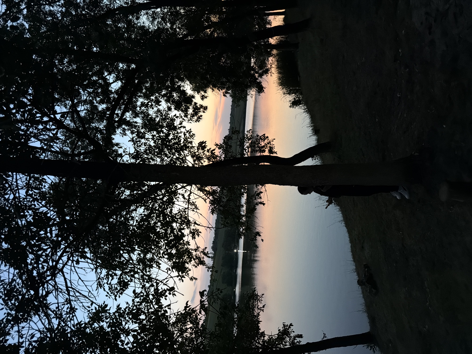 An evening scene unfolds at a lake, likely located in Găleștii Noi, Moldova. The sky, tinged with hues of pink and orange from a setting sun, transitions into a deep blue as dusk settles. Silhouetted trees frame the view, their dark forms stark against the colorful sky and the calm surface of the lake. On the grassy bank, partially obscured by a tree, a person stands holding a mobile device. The ground slopes down towards the water, covered in grass and scattered leaves, with a few small objects visible in the shadows. The overall atmosphere is serene and quiet, capturing a moment of peaceful contemplation by the water.