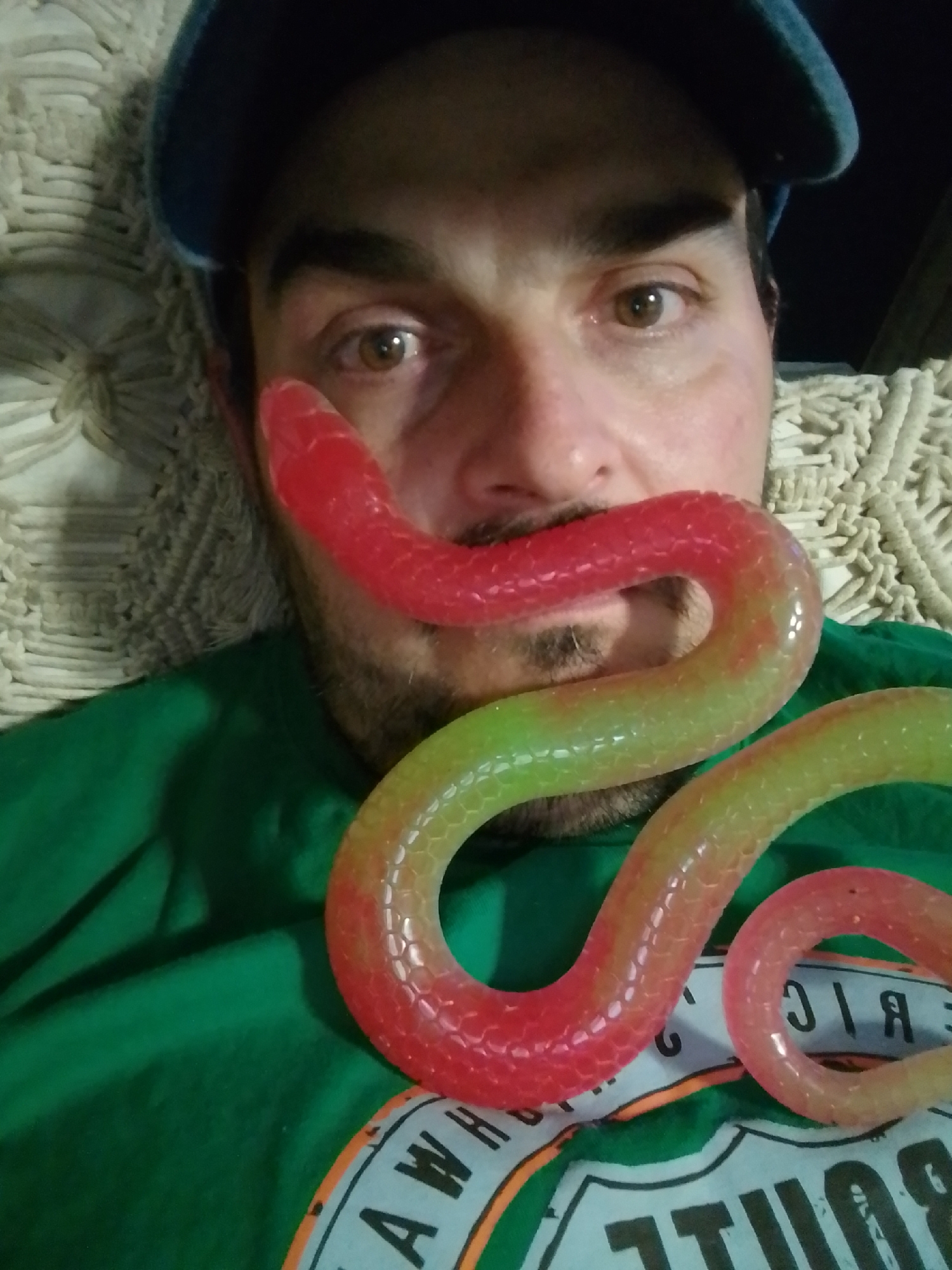 A man wearing a blue cap and a green t-shirt is holding a large, translucent, segmented snake toy that is red and yellow in color across his mouth. The snake toy's head is near his left eye and its body curves down and to the right. The man has brown eyes and a beard. He is positioned in front of a textured, off-white surface, possibly a blanket or upholstery. The background is dark. The image appears to be a selfie, taken indoors. There is no indication of the location being Wedel, Germany.