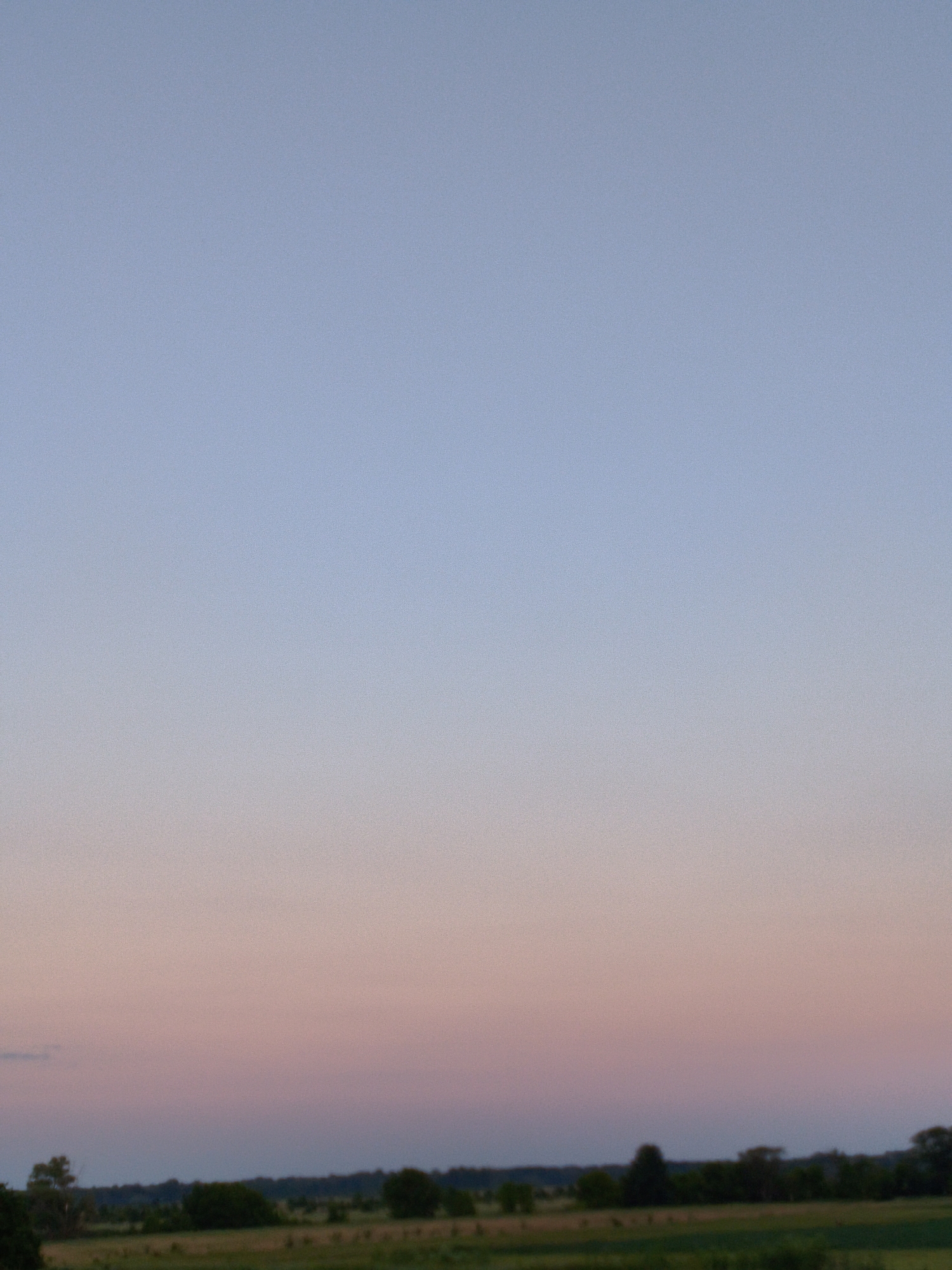 The image depicts a serene rural landscape in the city of Ustyvytsia, Ukraine, during twilight. The sky transitions from a pale blue at the top to soft hues of pink and orange near the horizon, indicating the setting or rising sun. Below the sky, a dark band of trees forms a silhouette against the colorful sky, marking the tree line of a field. The field itself appears to be covered in green grass or crops, though it is slightly out of focus. There are no people or any visible structures in the image. The overall impression is one of peacefulness and natural beauty.