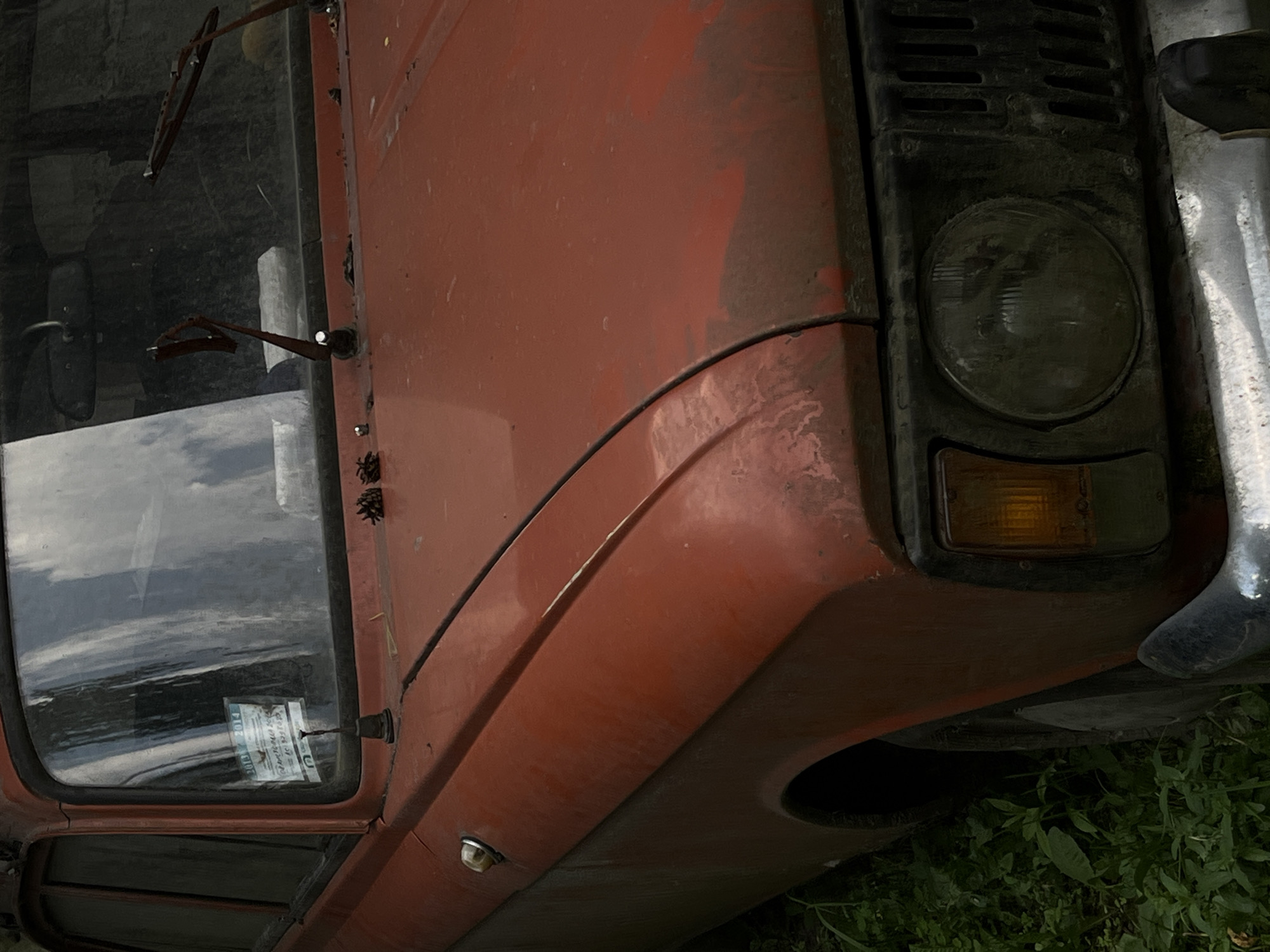 This is a close-up, angled, outdoor photograph of the front corner of a weathered, orange truck. The truck appears to be old and possibly abandoned, with visible dust and grime on its surfaces. The foreground shows the front wheel well and the lower part of the truck's fender, covered in a dense green undergrowth.
Dominating the center of the frame is the truck's front panel, featuring a large, round headlight with a dark, circular lens and a ribbed, black housing. Below the headlight, an amber-colored turn signal is visible. To the left of the headlight, a section of the truck's windshield is seen, reflecting the sky and some trees. Two windshield wipers, one longer than the other, are resting on the glass. A sticker with text is affixed to the lower corner of the windshield.
The side of the truck, painted in a faded orange, extends from the front towards the left of the image. A curved line delineates the fender from the bodywork. Near the door of the cab, a small, round metal latch or handle is visible.
The scene suggests a somewhat overcast day, given the reflected sky. The presence of weeds and the general condition of the truck imply it is located in an unmaintained outdoor area, possibly a field or an overgrown yard, in Lviv, Ukraine. There are no people or animals visible in the image. The overall impression is one of neglect and the passage of time. The visible text on the sticker on the windshield is illegible due to the distance and resolution.