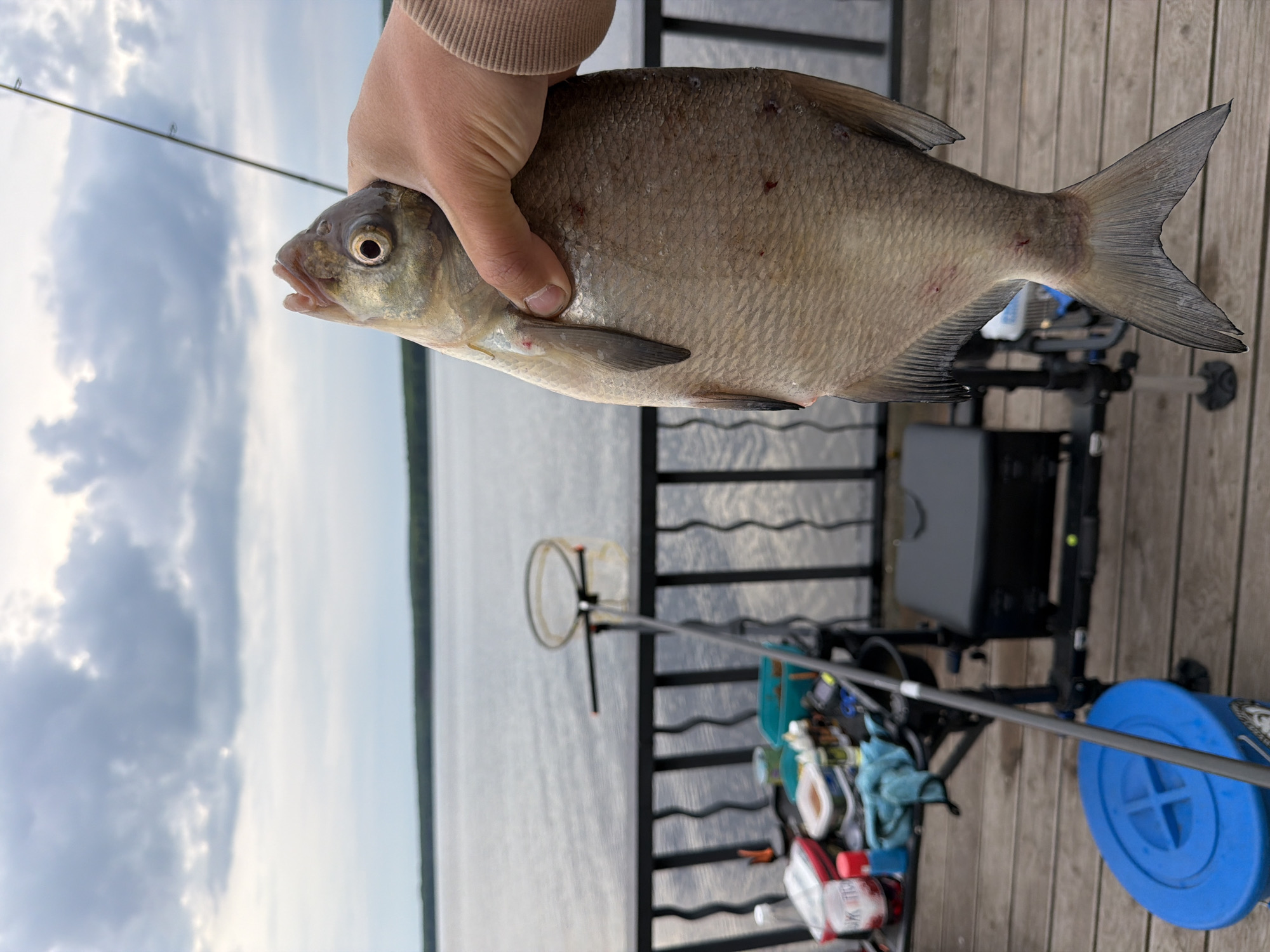A human hand, fair-skinned and wearing a light brown sleeve, holds a medium-sized fish over a wooden pier. The fish, likely a Common Bream due to its distinct body shape, is light-colored with prominent scales, a small mouth, and a forked tail. Several small reddish abrasions are visible on its body.
The scene is set on a wooden pier, with its planks visible in the foreground. Various fishing equipment is arranged on the pier, including a fishing rod extending horizontally, a black fishing station or chair with attached accessories, a black box, and a blue circular container. A small landing net is also visible among the gear.
Beyond the pier, a wide body of water, presumably a lake or river, stretches into the distance, meeting a faint outline of land on the far horizon. The sky is partially cloudy with patches of brighter light, indicating daylight. Visible text on one of the containers partially reads "WATER". The image captures a moment during a fishing activity in Chaikovsky, Russia.