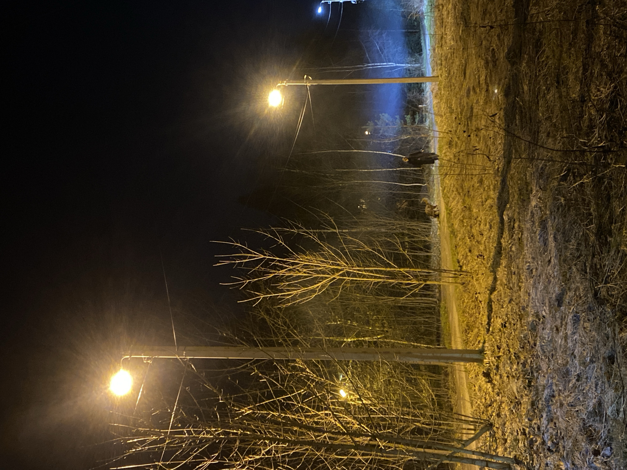 The image depicts an outdoor scene at night, likely a pathway or unpaved road flanked by trees and grassy areas. The overall impression is one of a quiet, possibly chilly evening.
Two prominent streetlights, emitting a warm, yellowish light, are visible on the left side of the scene. Their glow illuminates the bare branches of deciduous trees and shrubs, which are devoid of leaves, suggesting late autumn or winter. The light sources create visible lens flares and illuminate numerous small particles in the air, indicating possible light snow, rain, or mist. Further in the background, a cooler-toned, bluish light source is also visible.
A dirt or gravel path runs through the middle-right of the frame, leading into the distance. To the right of this path, in the mid-ground, a person can be discerned standing or walking, accompanied by a light-colored dog. Their figures are somewhat silhouetted and blurry due to the low light conditions and distance. The ground is covered with dry grass and fallen leaves, varying in color from yellow-brown where directly lit by the streetlights to darker tones in the shadows.
The setting appears to be a natural or semi-natural area, such as a park or the outskirts of a town in Lobnya, Russia. There is no visible text in the image. The scene conveys a sense of solitude under artificial light during the nighttime.