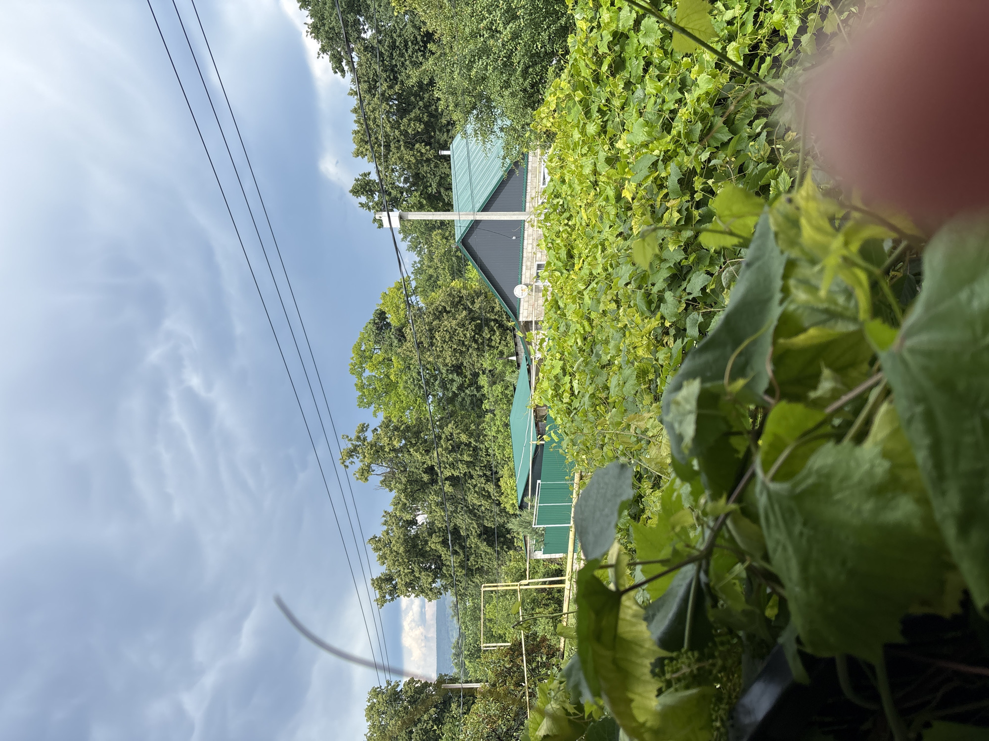 The image shows a residential area in Solnechnaya Polyana, Russia, with a cloudy sky. In the foreground, out-of-focus green foliage, likely from a vine, obscures the lower portion of the scene. Behind the foliage, a green fence and a building with a green metal roof are visible. Further back, a larger building with a dark gray upper facade and a green metal roof is situated amidst lush green trees. Electrical wires run horizontally across the upper part of the image. In the distance, a hazy landscape of hills can be seen. A pole with electrical equipment stands near the building with the green roof. A blurry pink object, possibly a finger, is present in the lower right corner of the frame.
